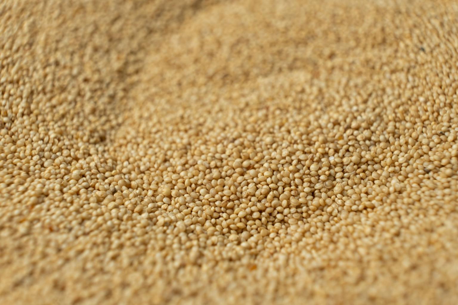 Fresh amaranth grain