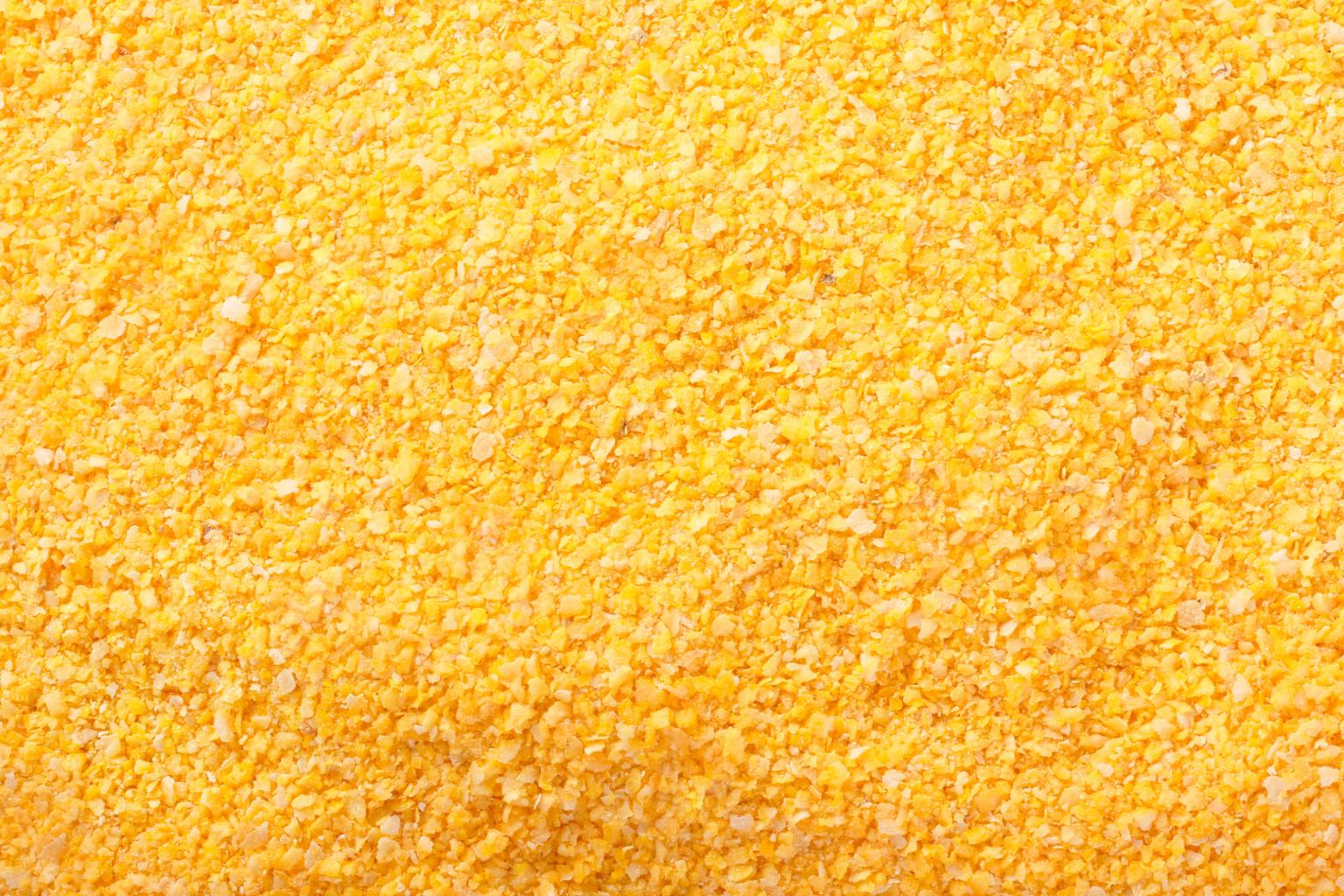 Fresh polenta cornmeal