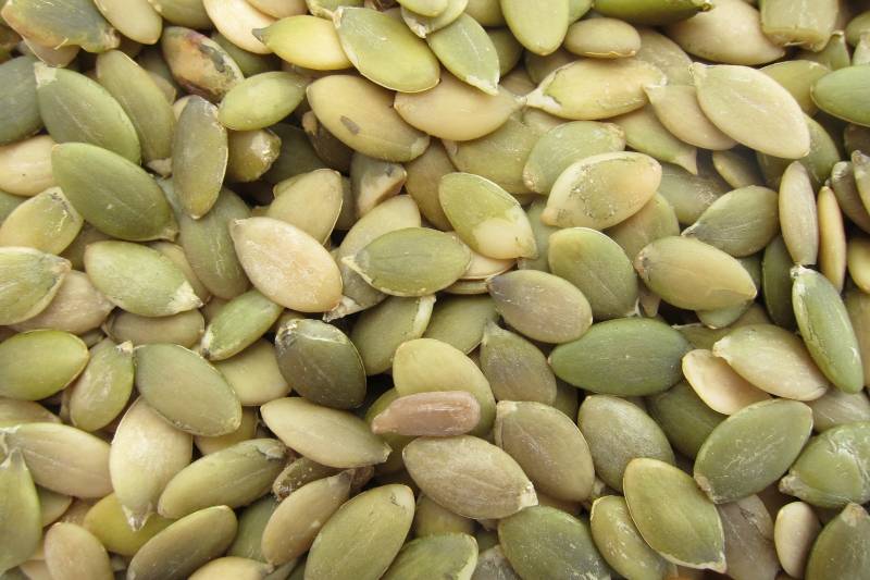 Fresh pumpkin seeds