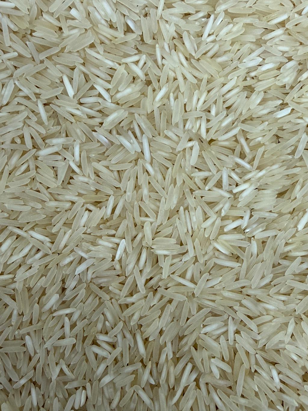 Fresh rice grains