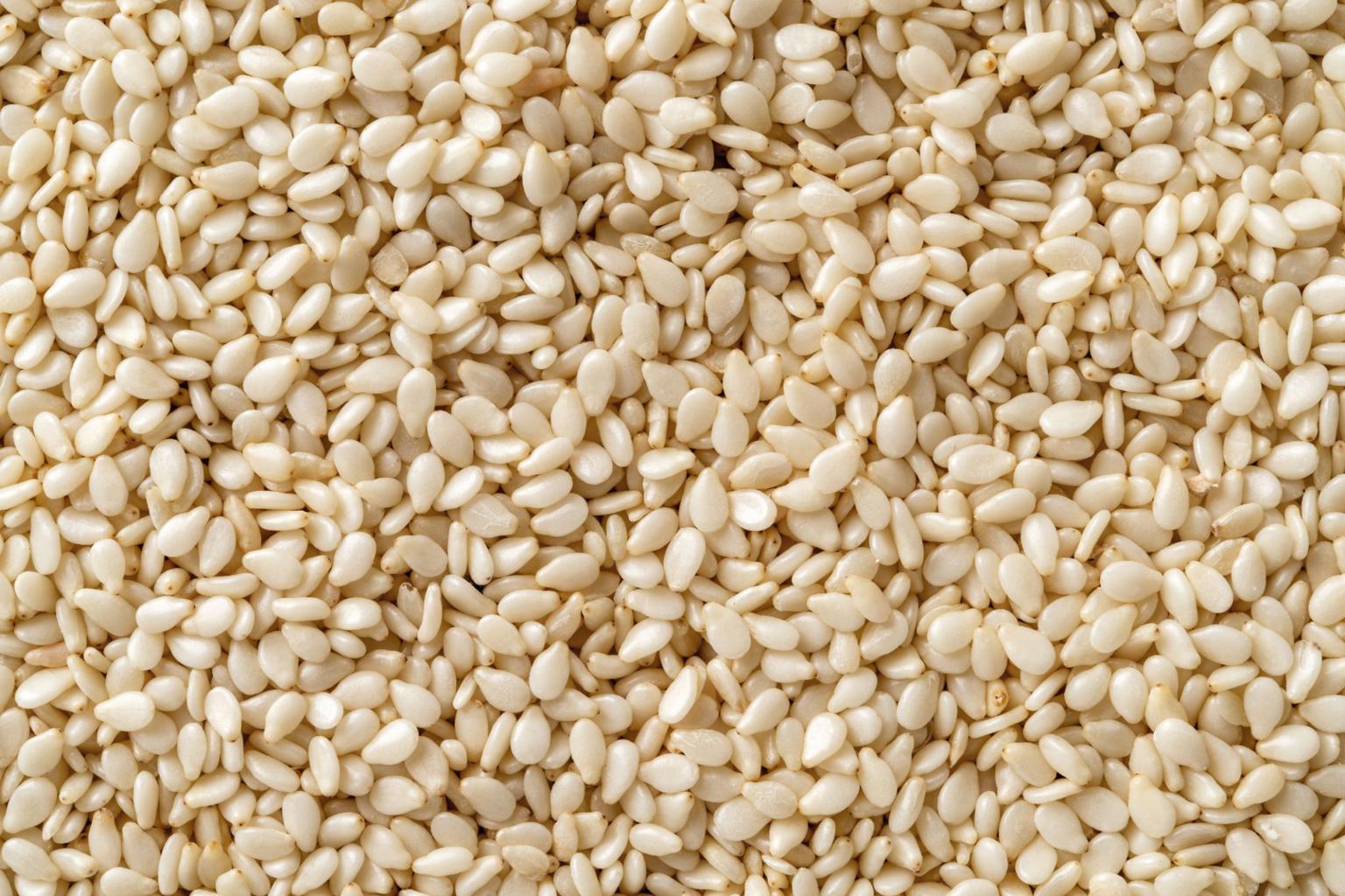 Fresh sesame seeds