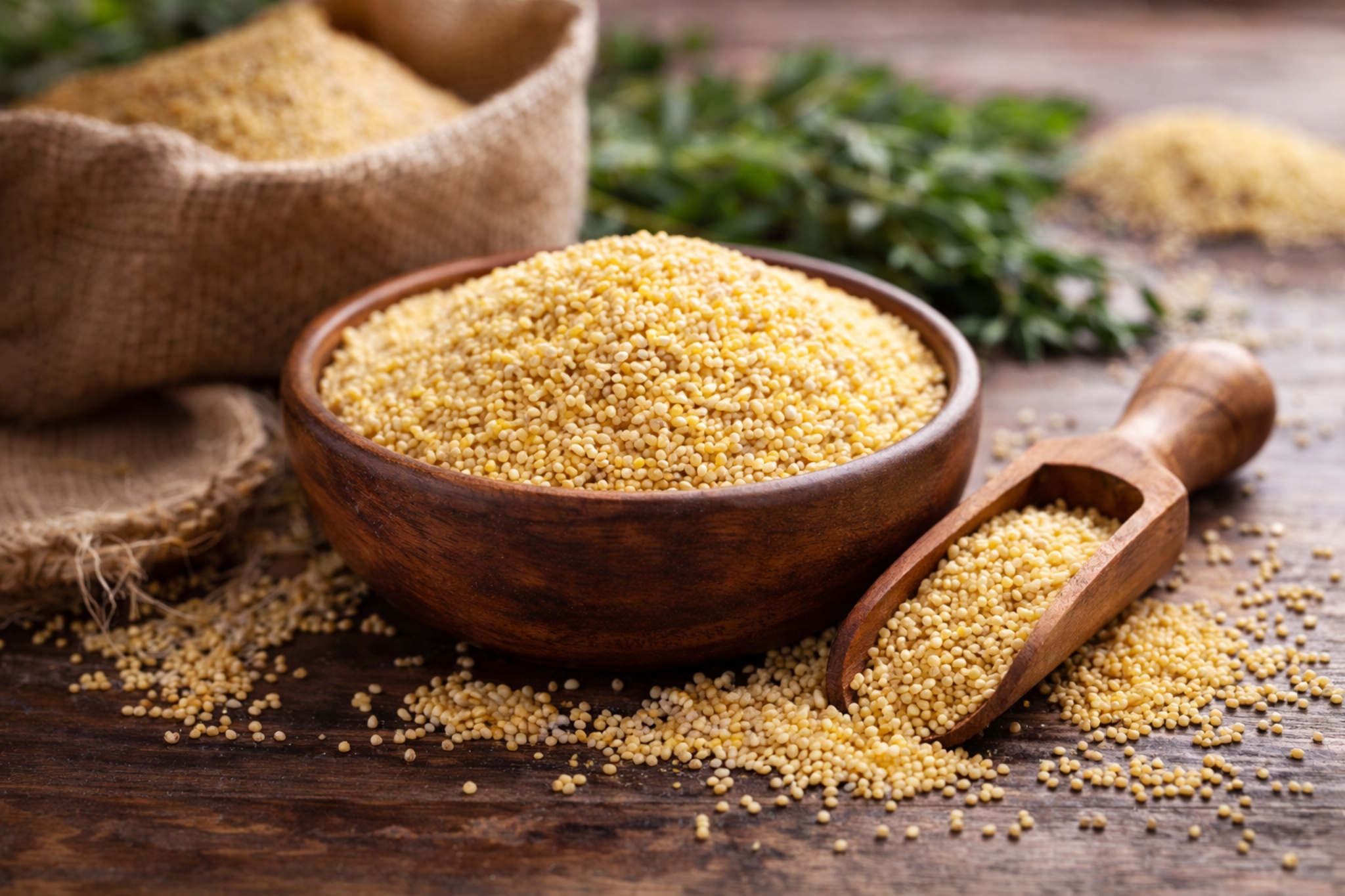 millet grains in a bowl
