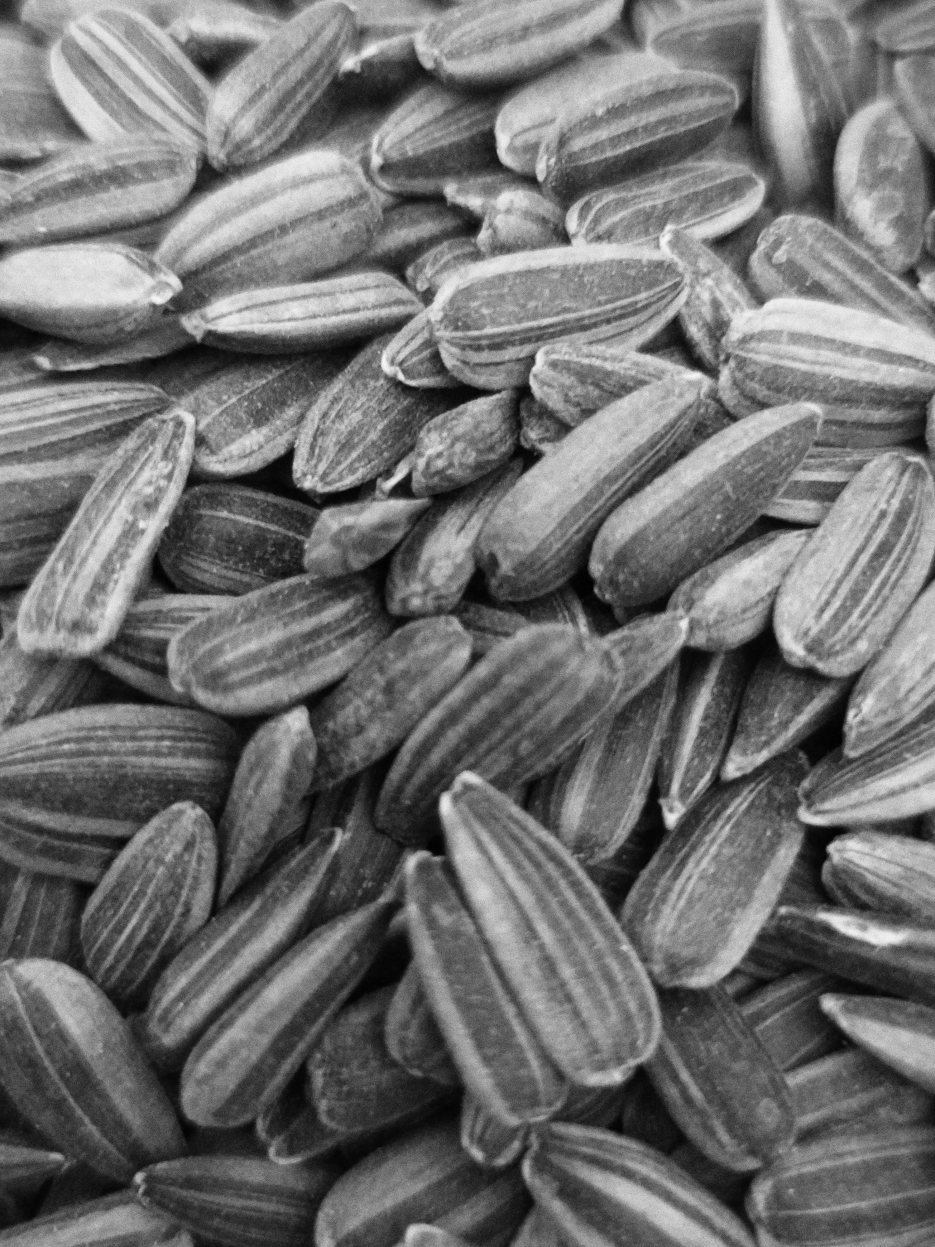 sunflower seeds in a bowl