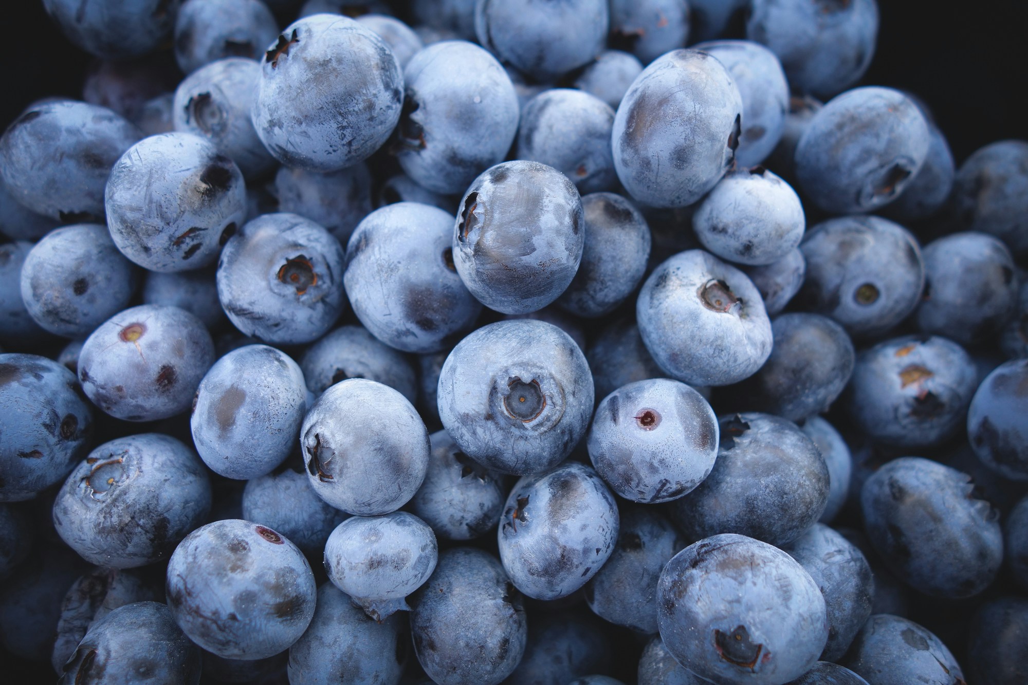 Fresh blueberry berry