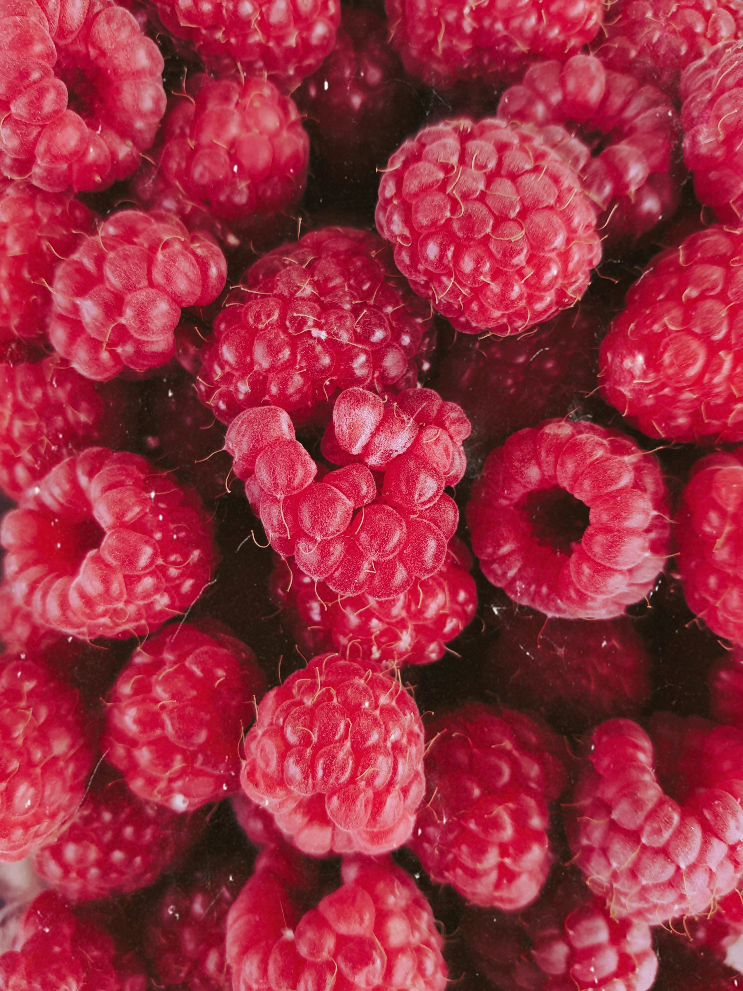 Fresh raspberry berry