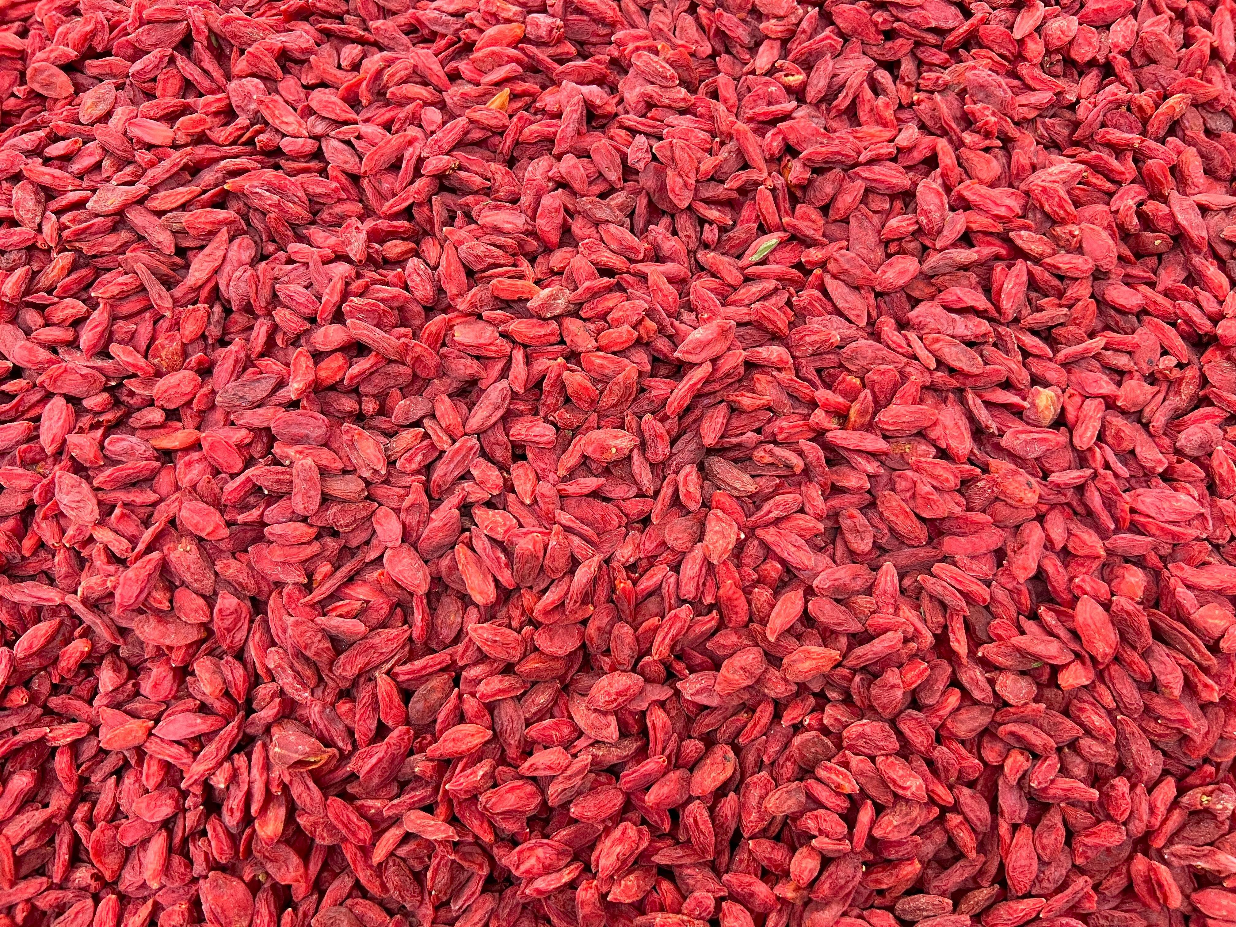 Fresh goji berry