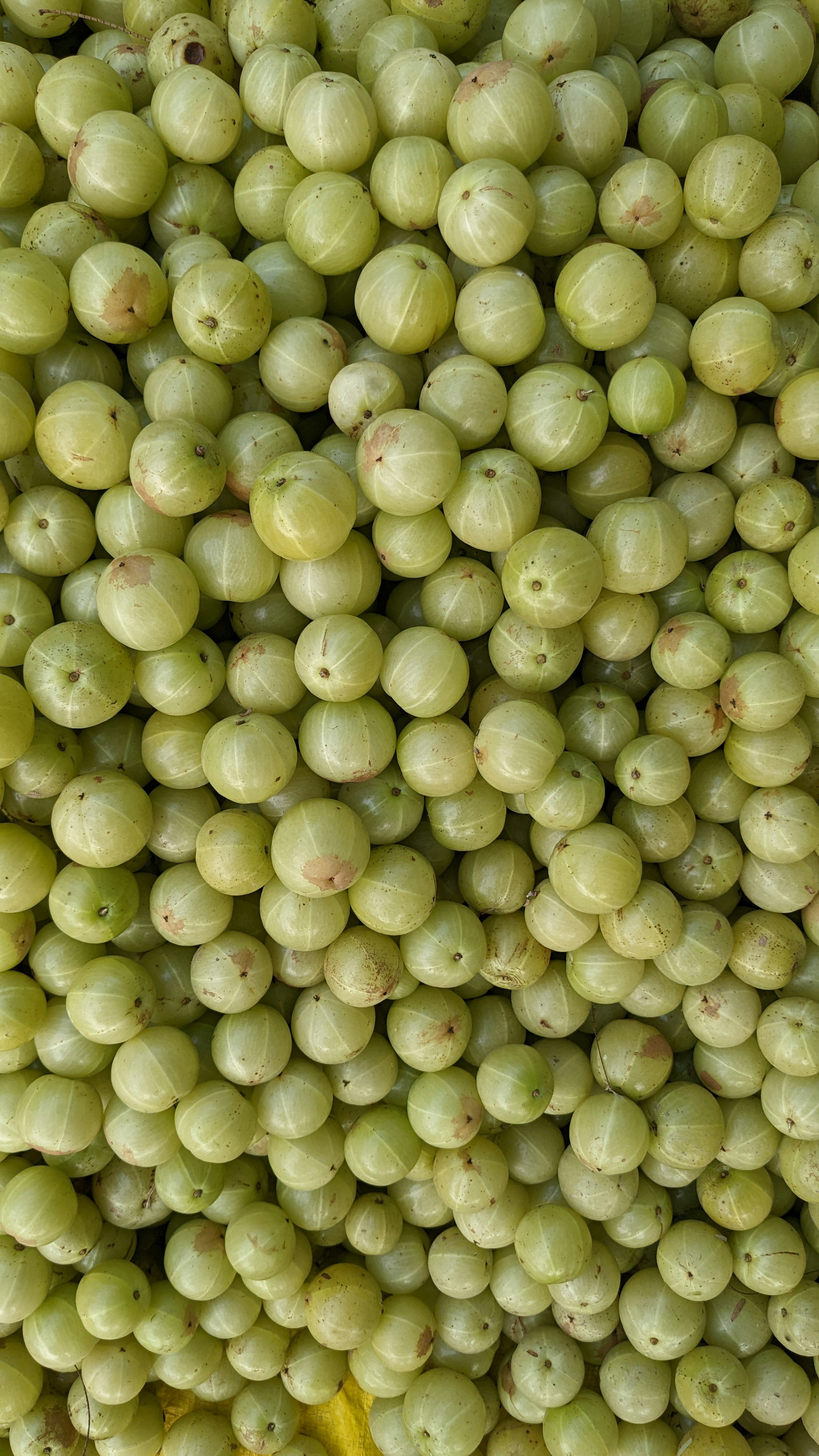 Fresh gooseberry