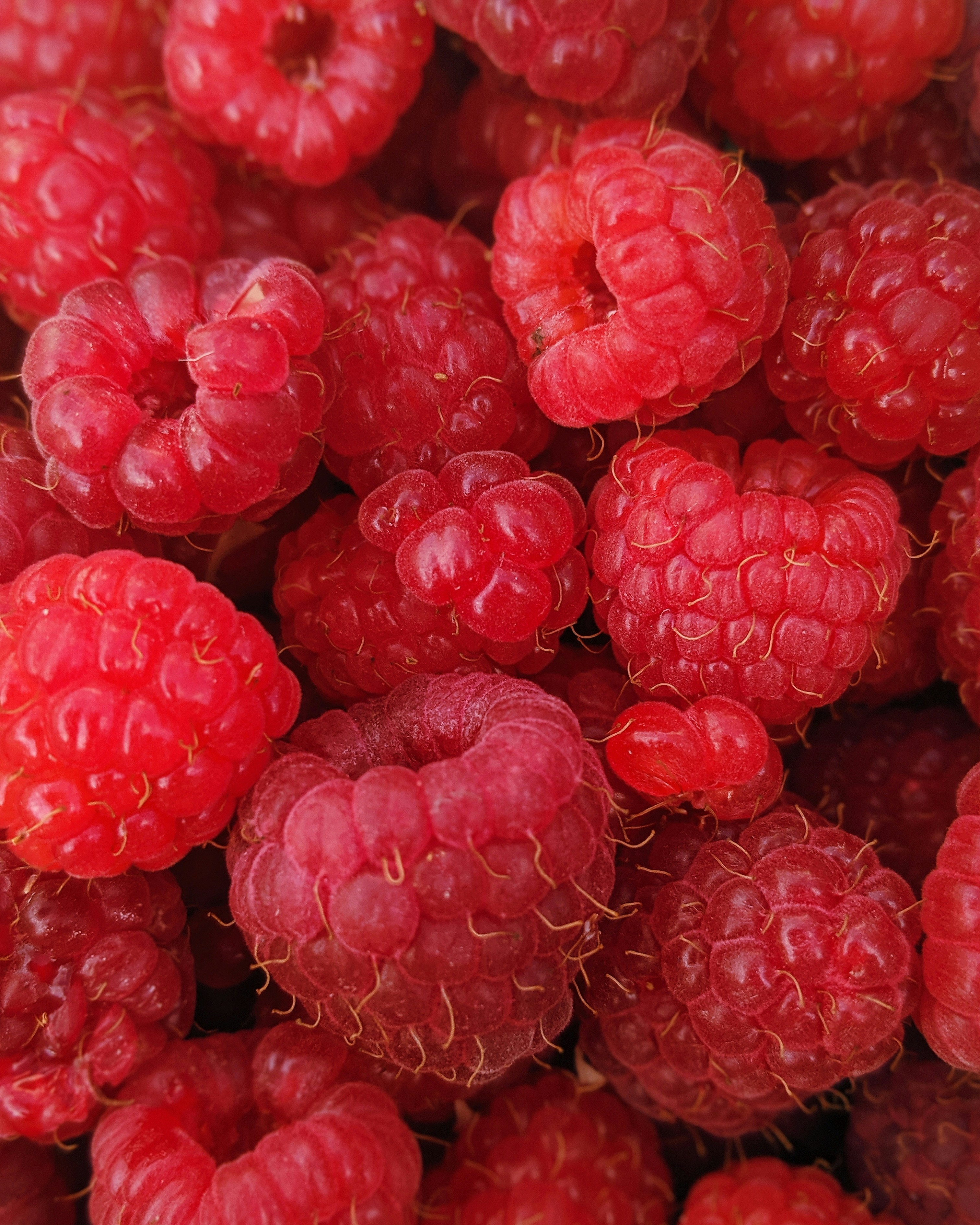 Fresh raspberry