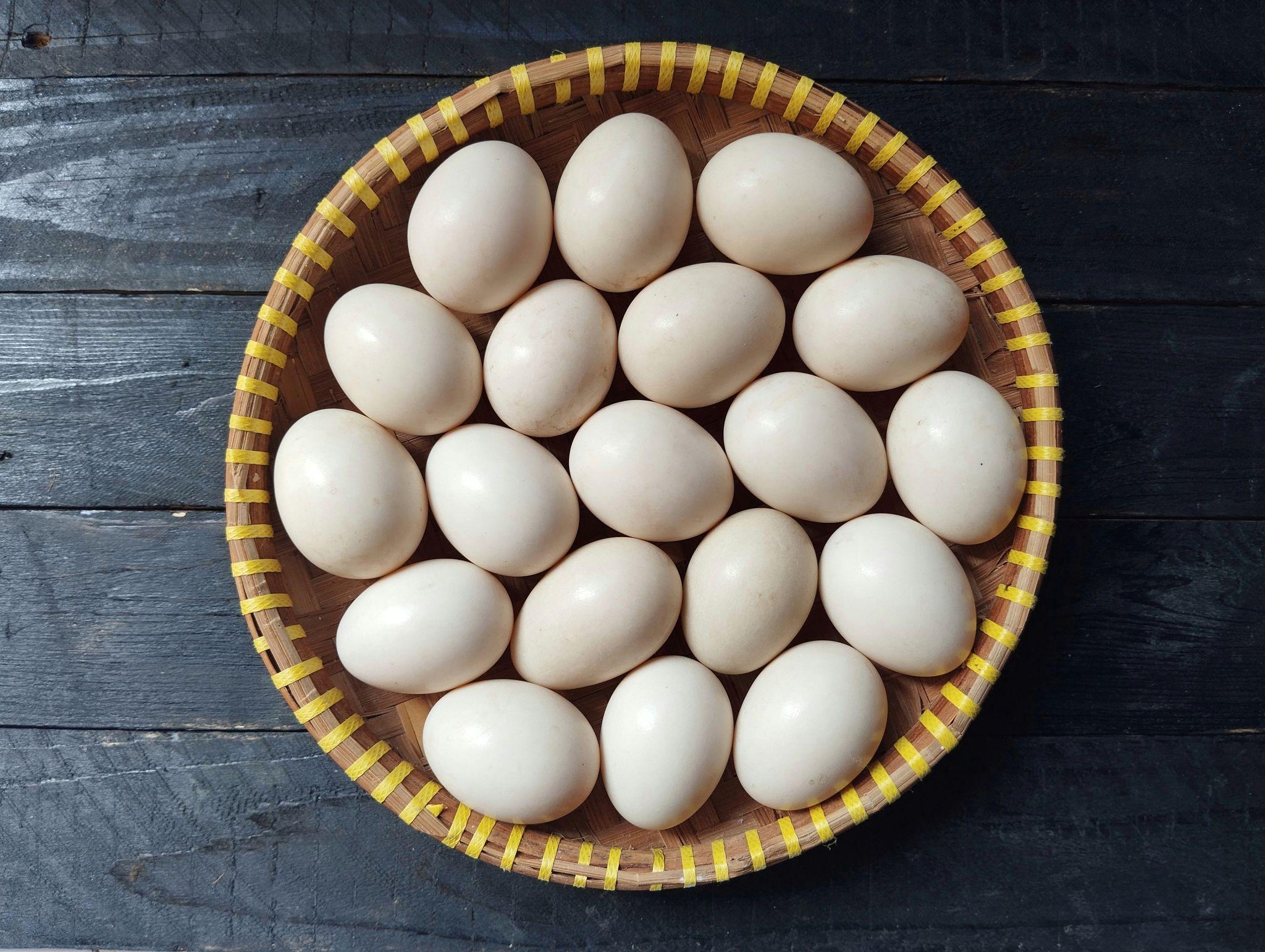 duck eggs in bowl