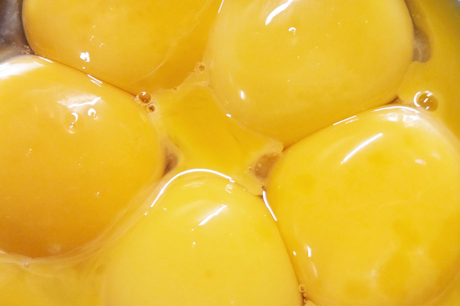 Fresh egg yolks
