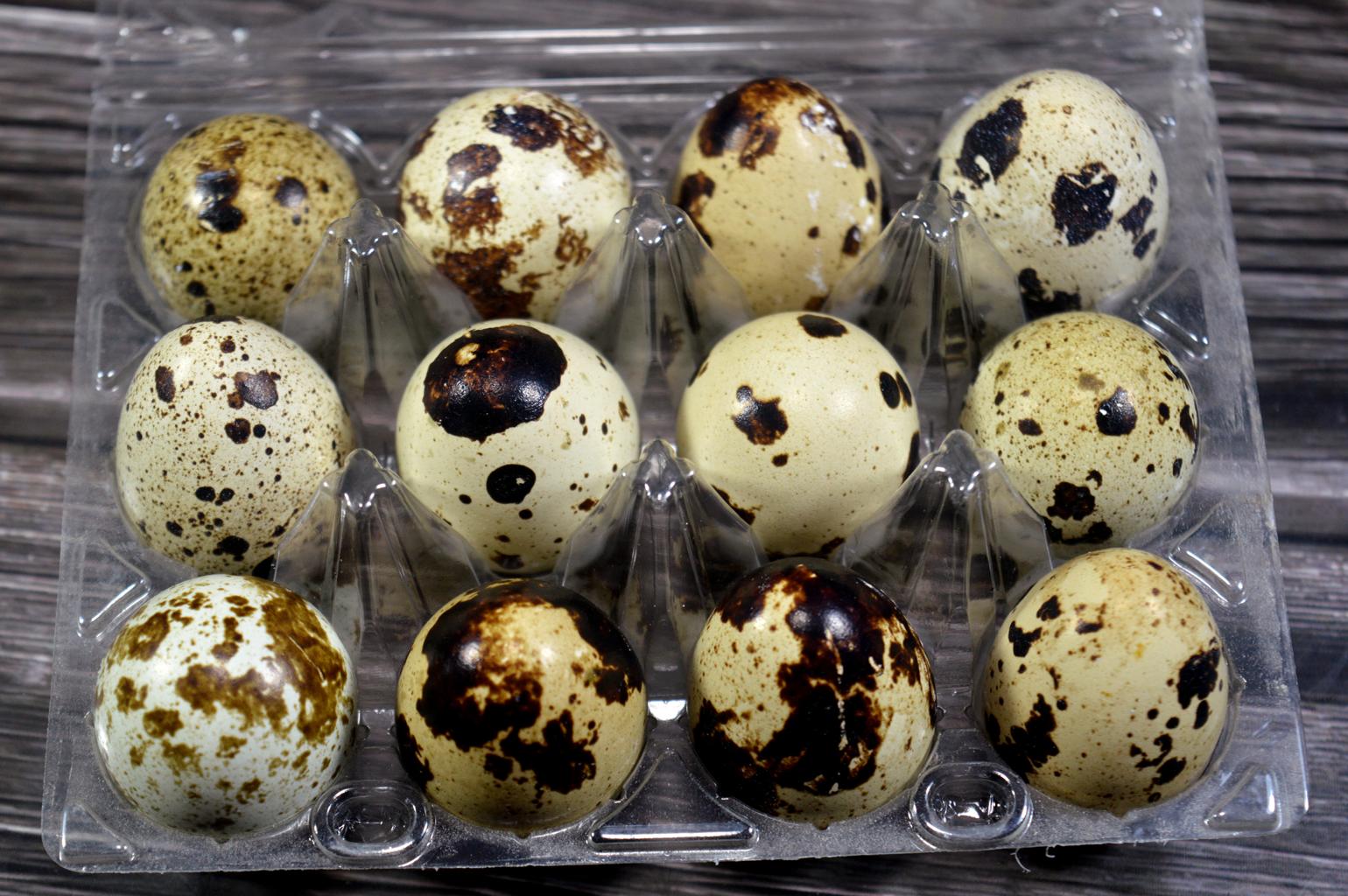 Fresh quail eggs