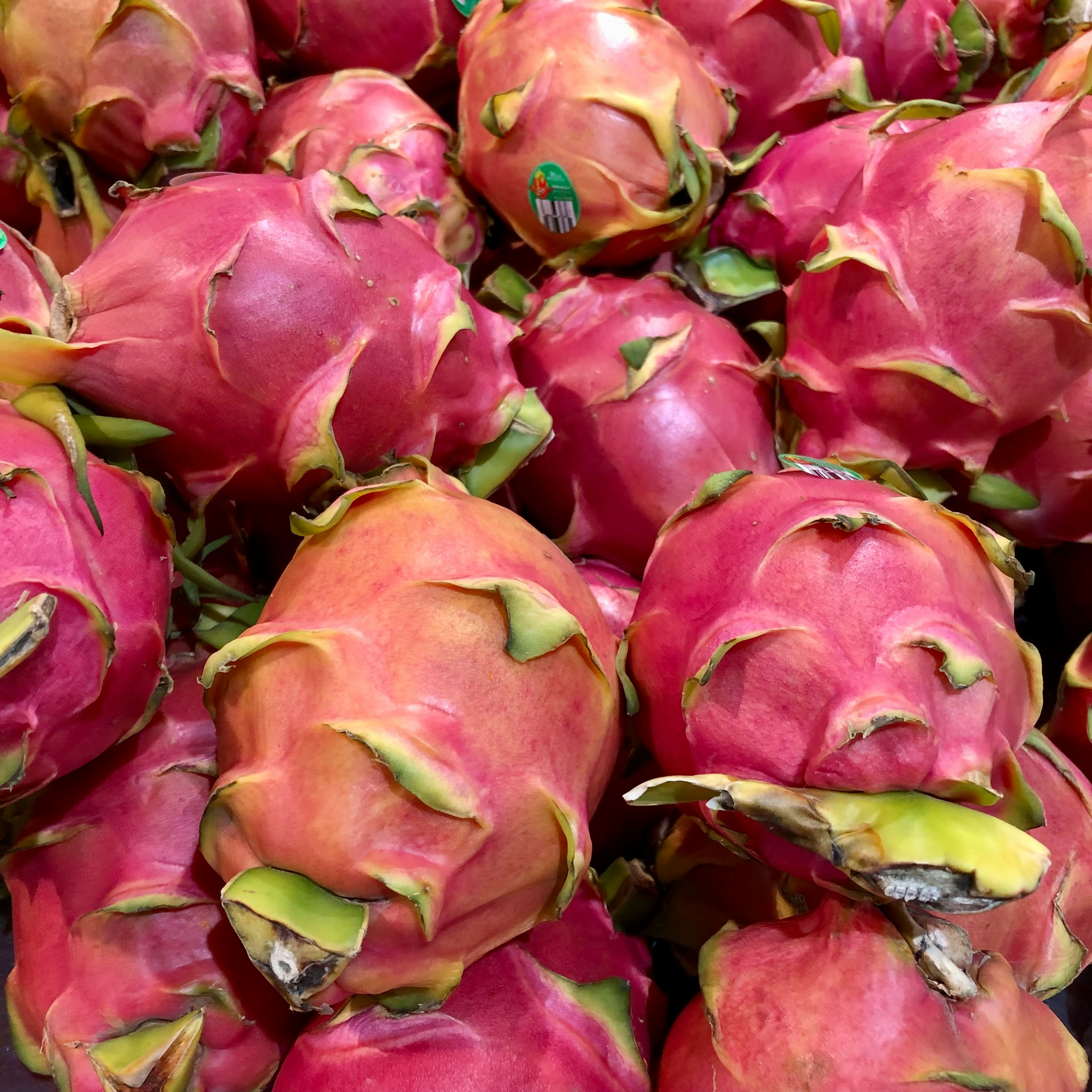 Fresh dragon fruit