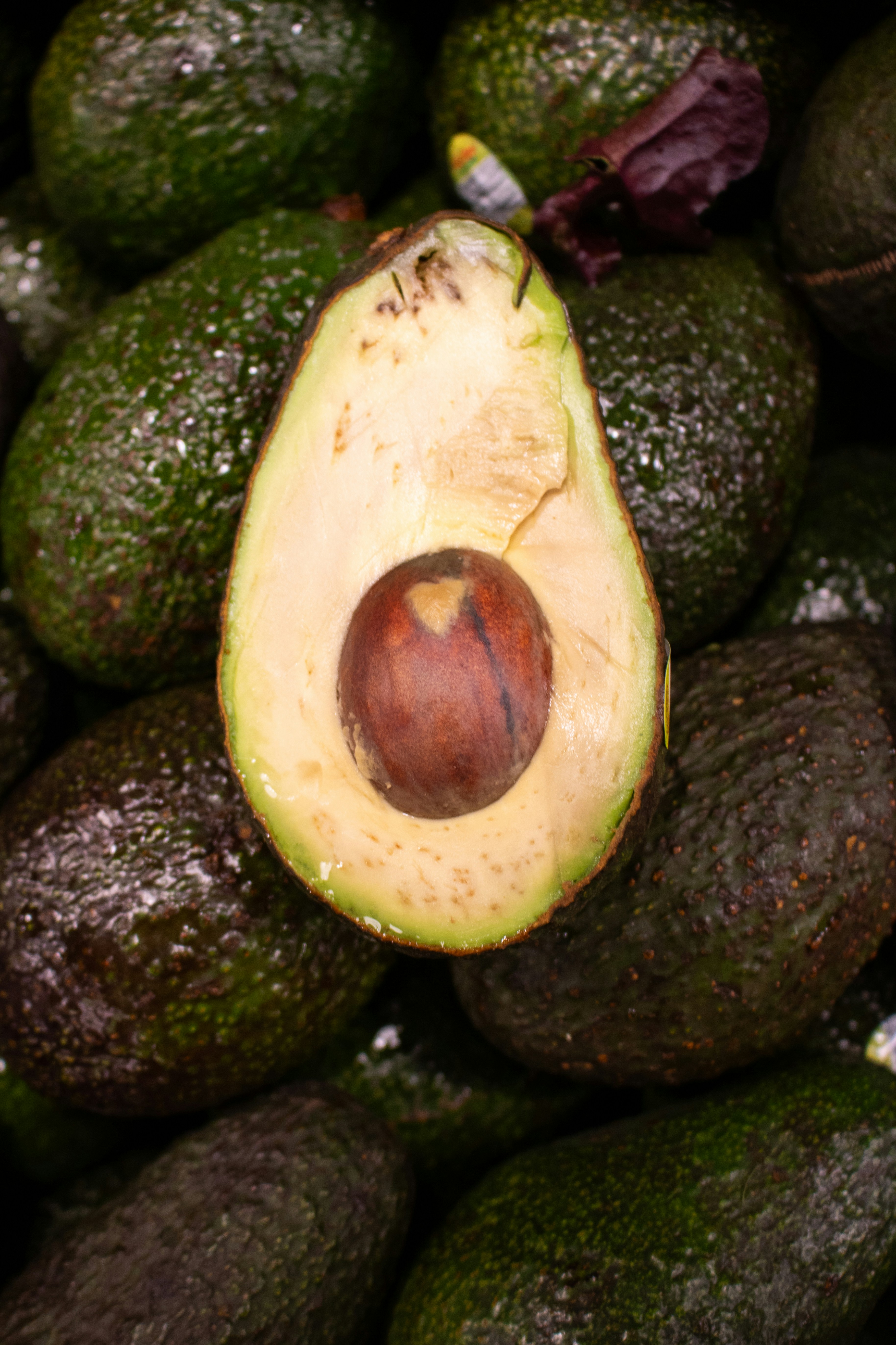 Fresh avocado fruit