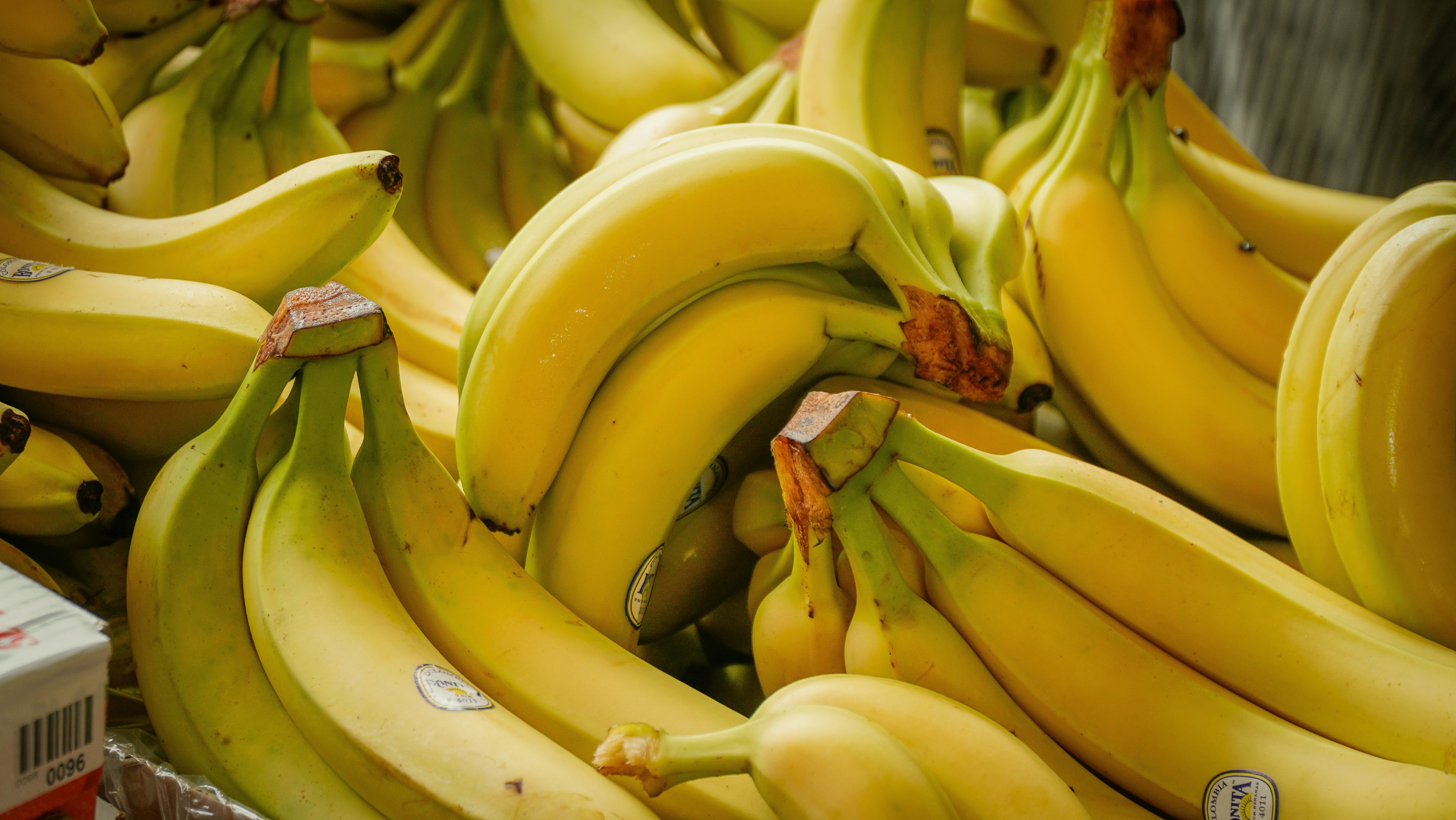 Fresh banana fruit
