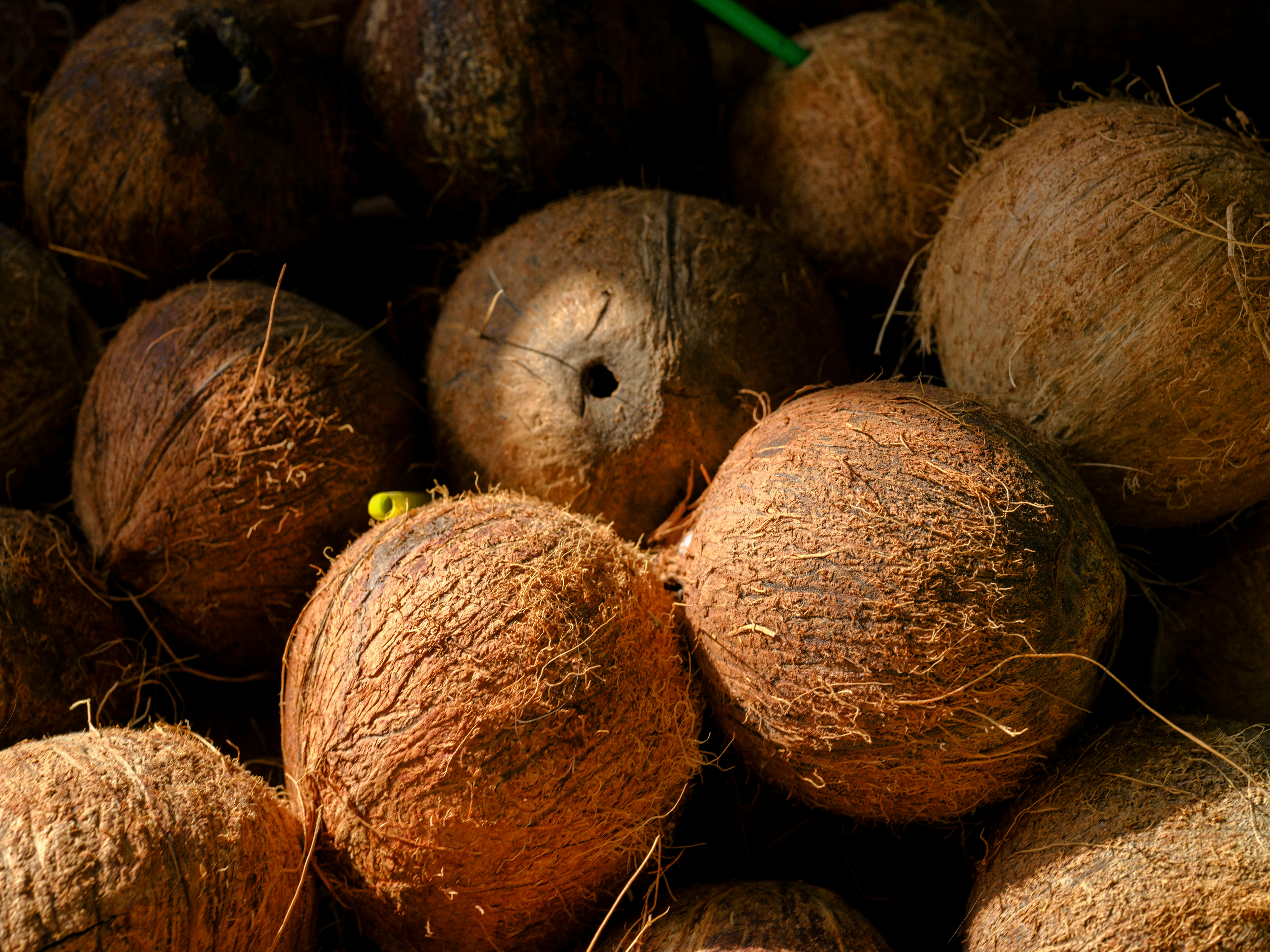Fresh coconut fruit
