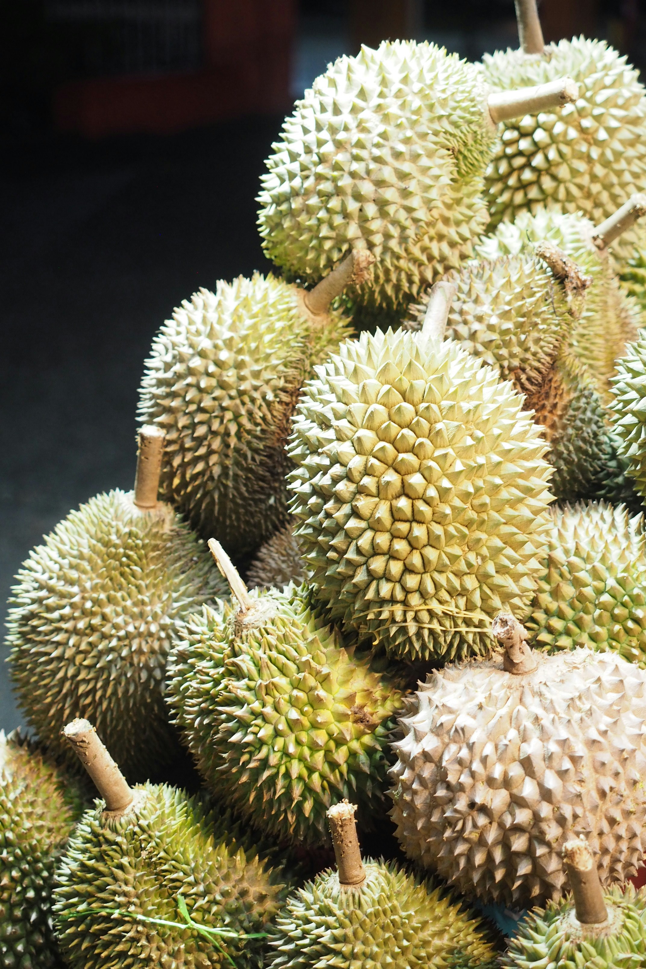Fresh durian fruit