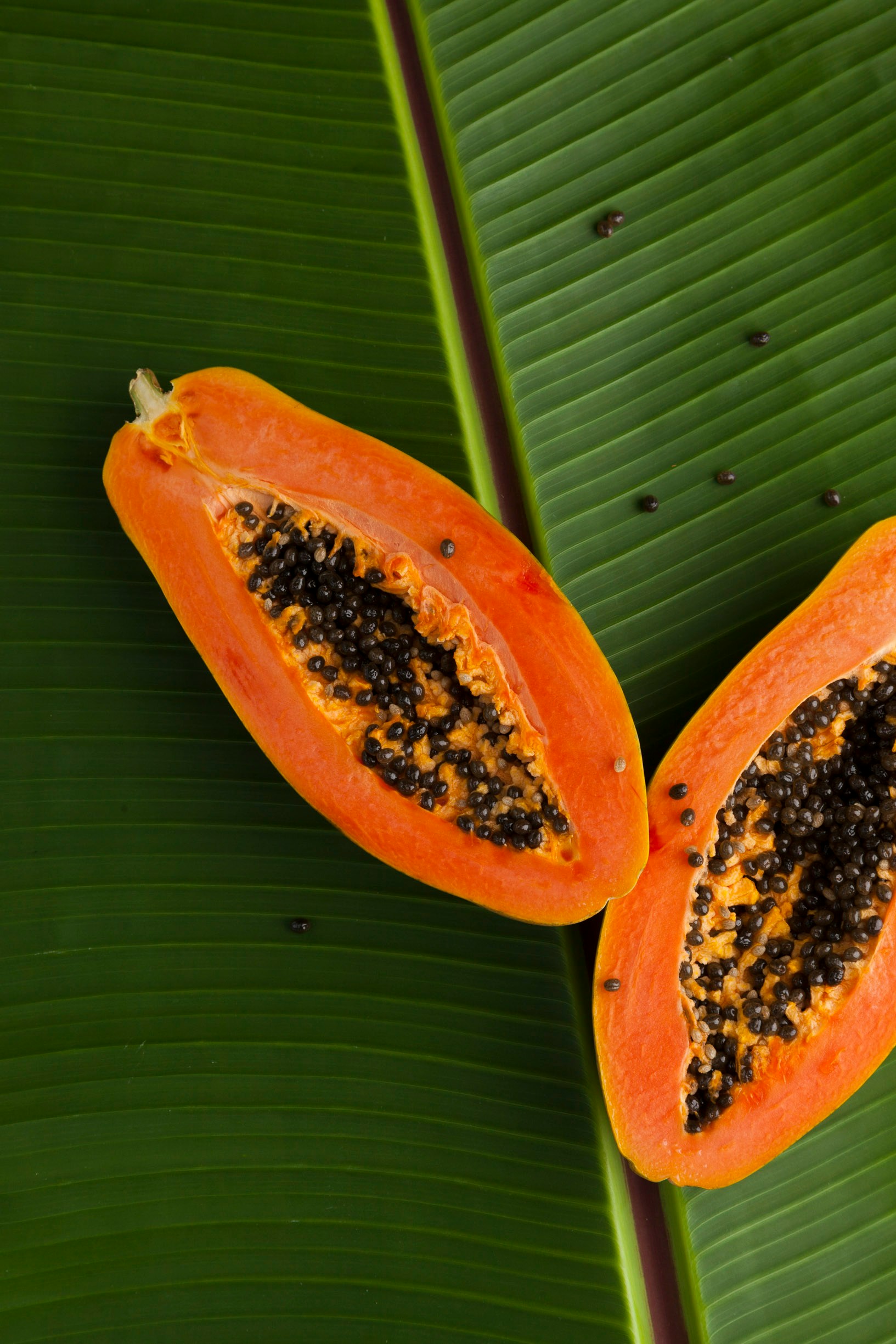 Fresh papaya fruit