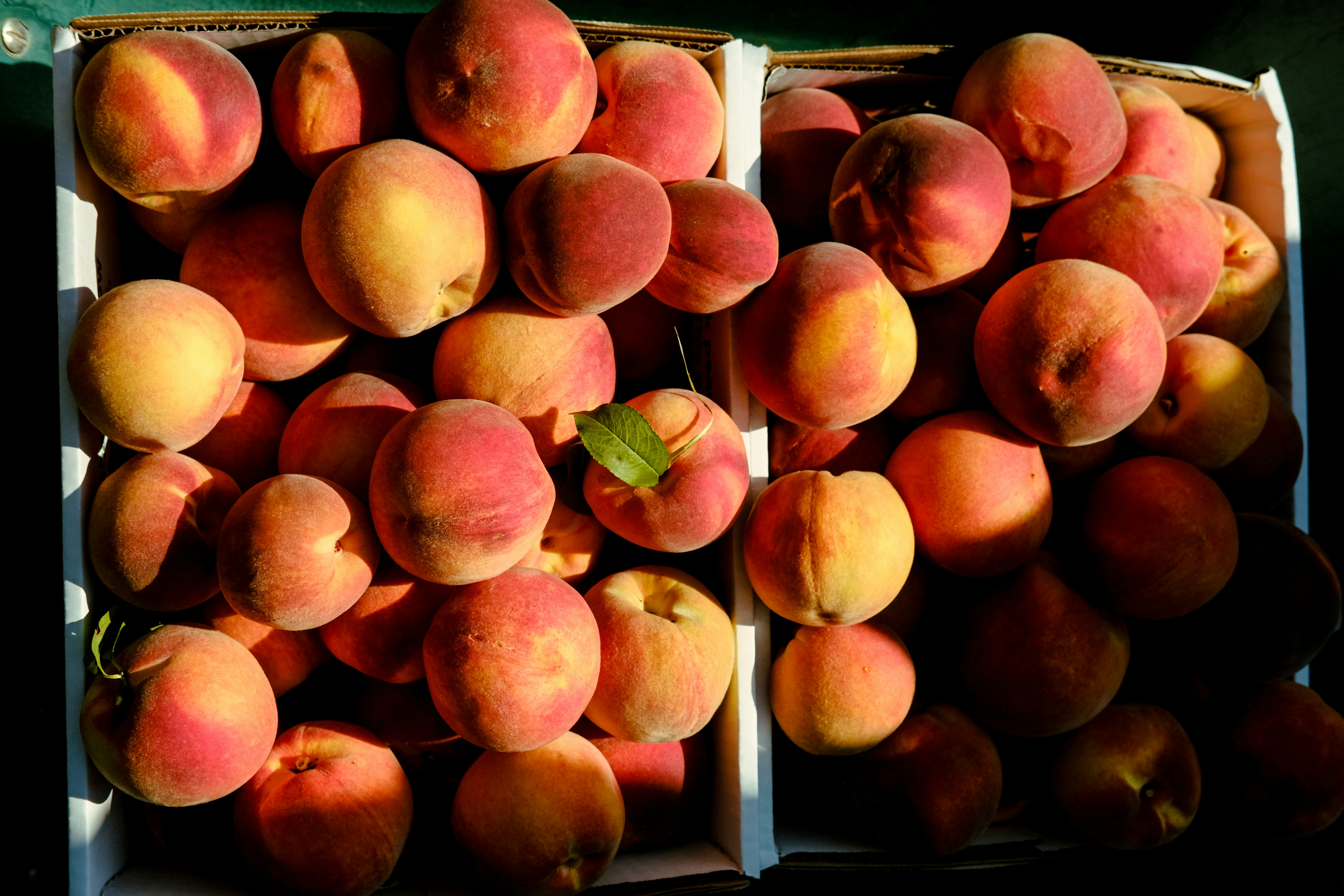 Fresh peach fruit