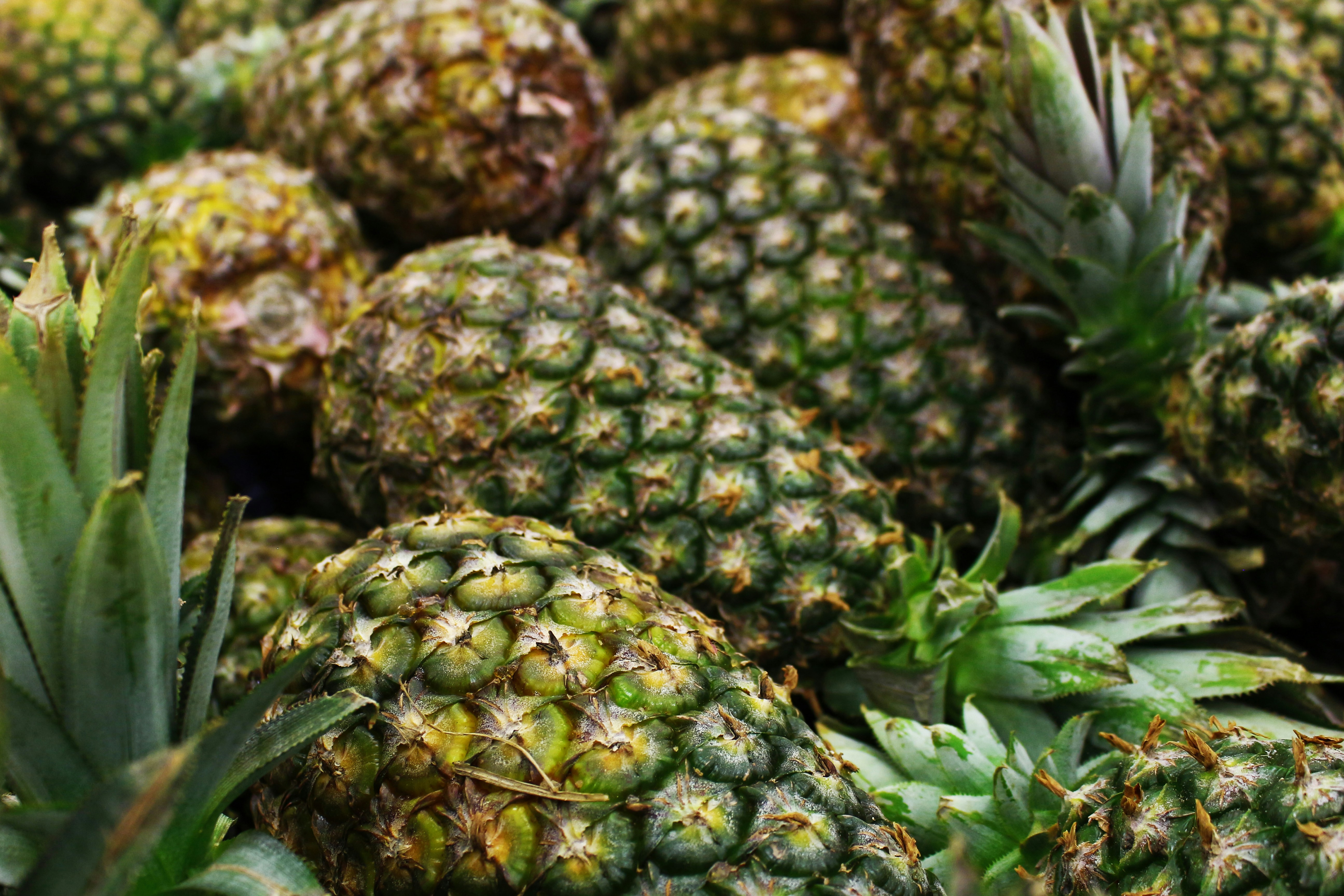 Fresh pineapple fruit