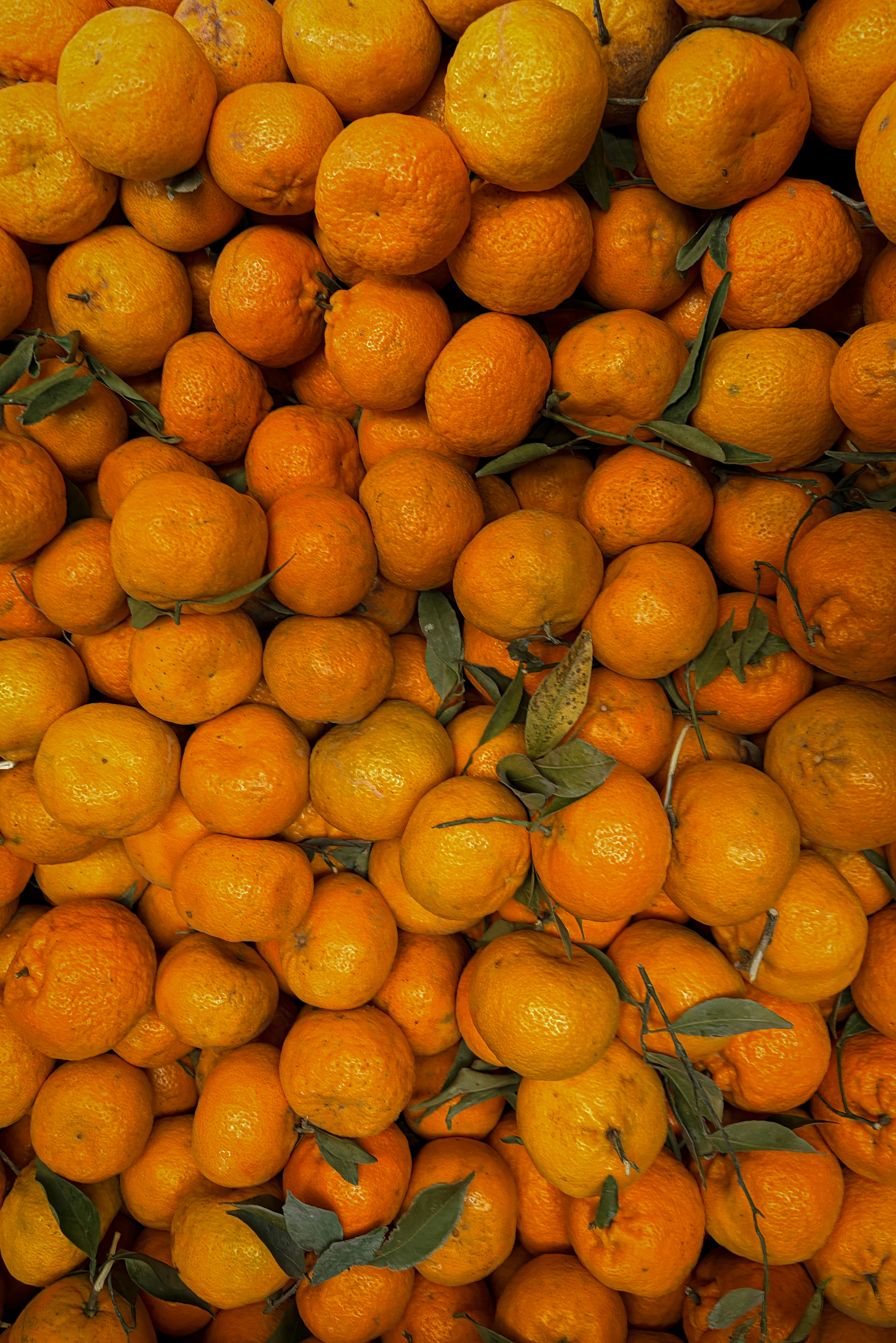 Fresh tangerine fruit
