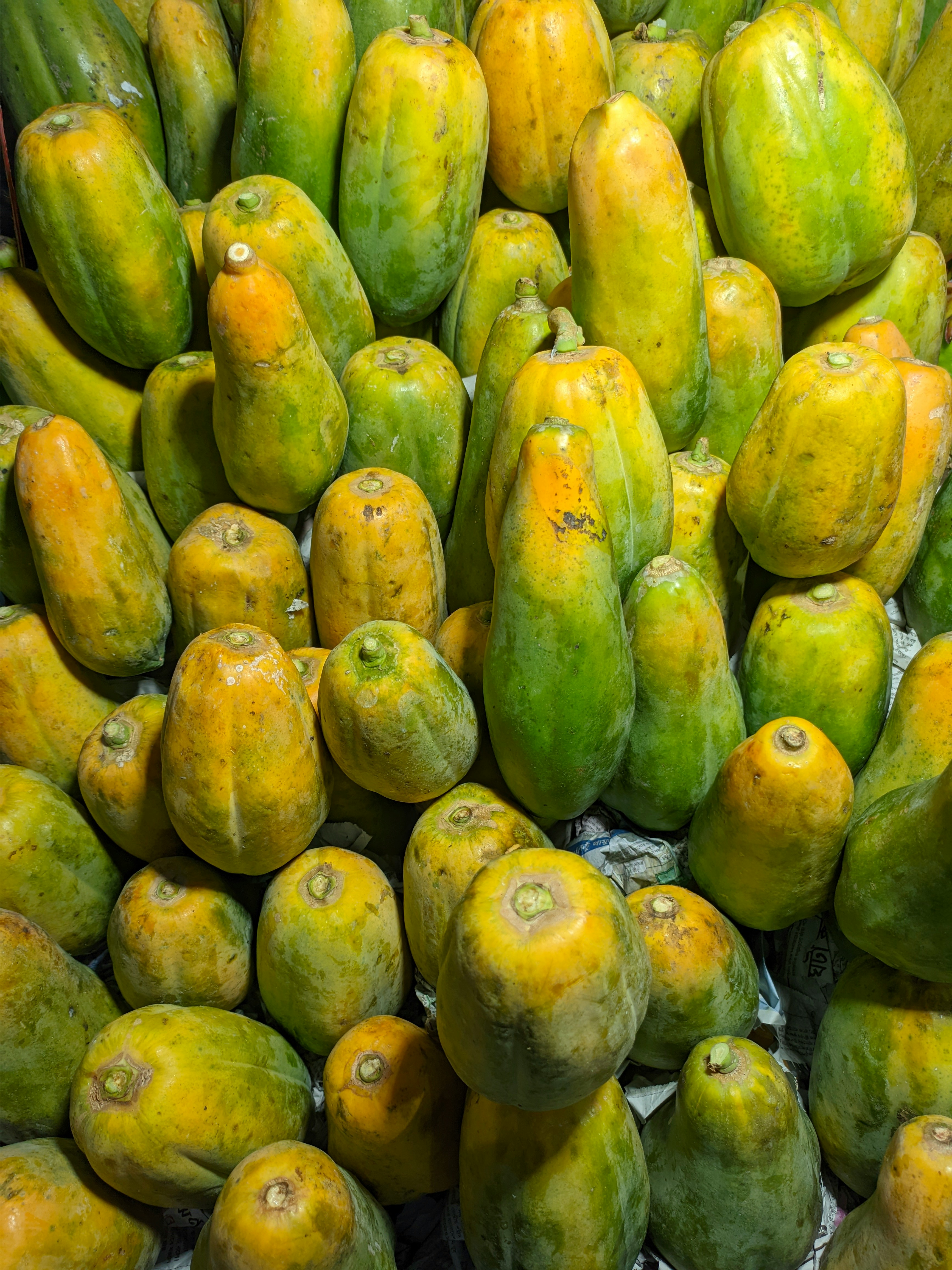 Fresh papaya fruit