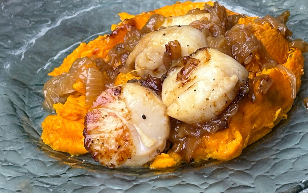 fresh scallops seafood