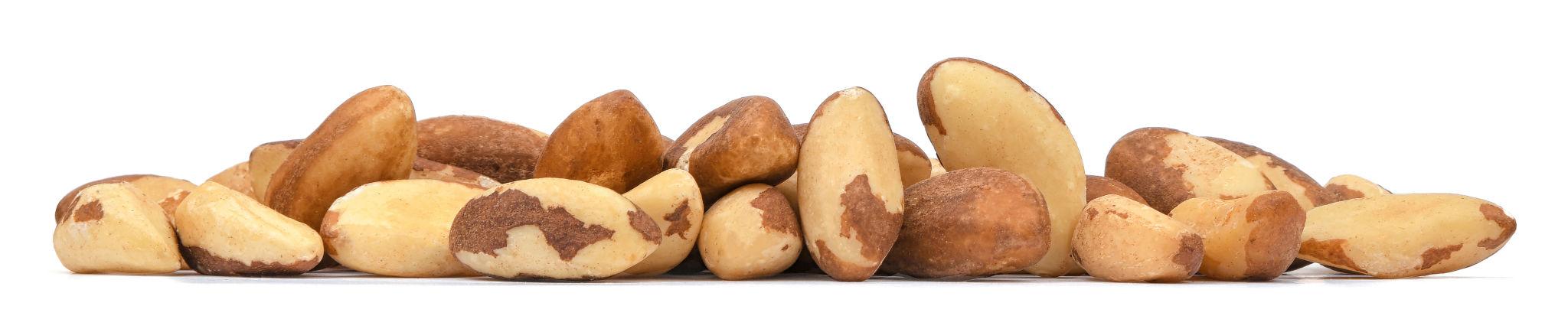 Fresh Brazil nuts