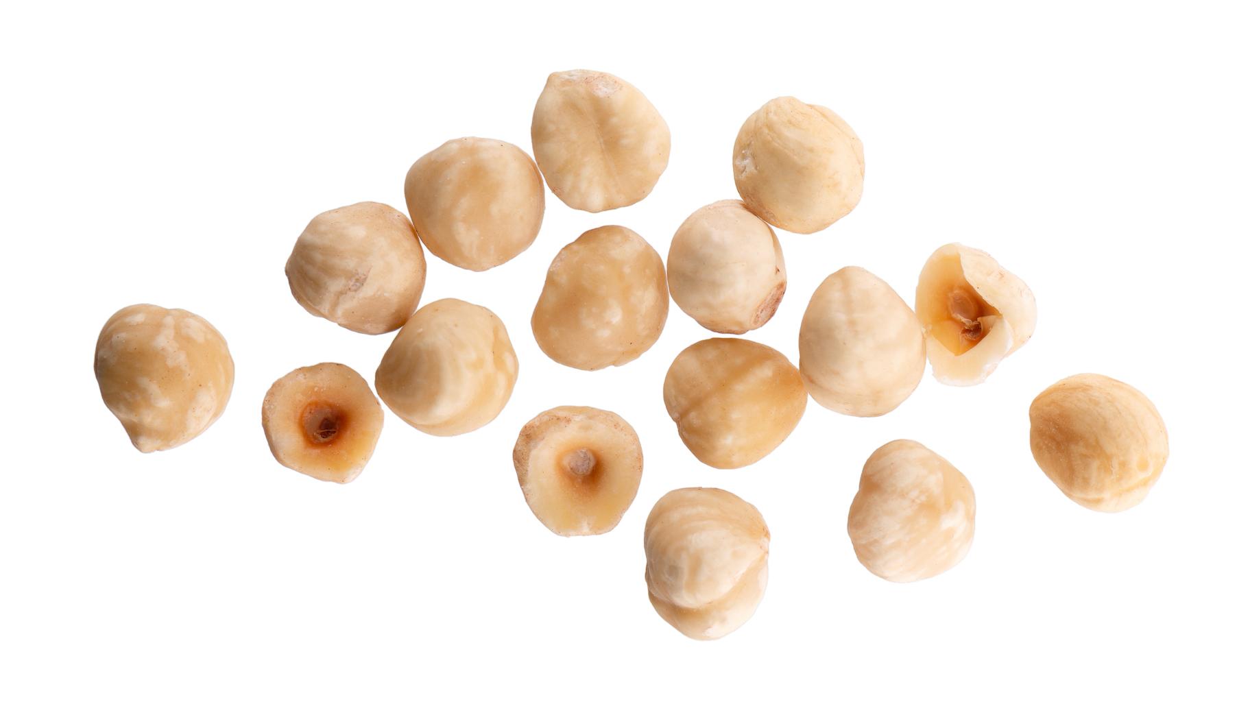 Fresh hazelnuts