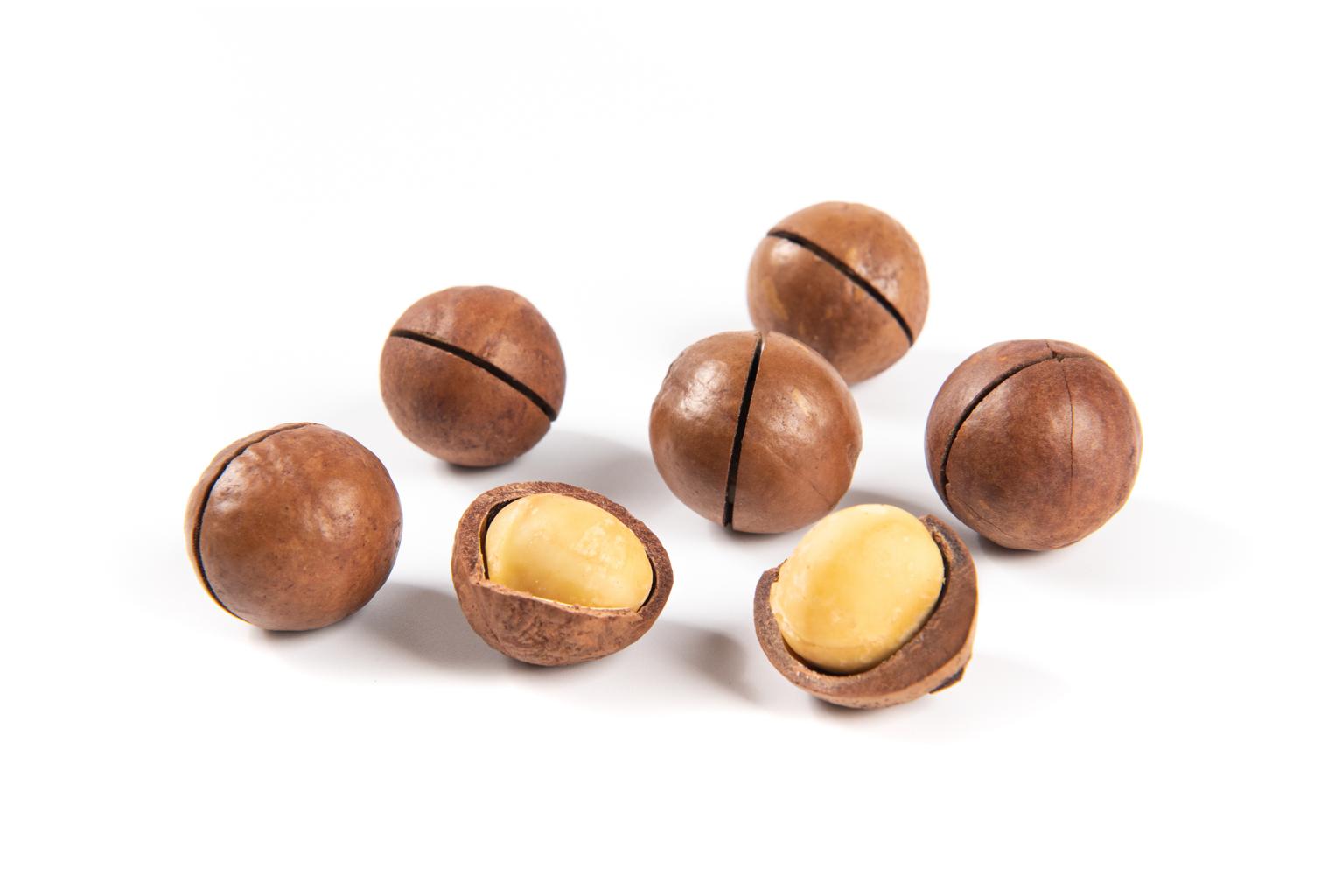 Fresh macadamia nuts