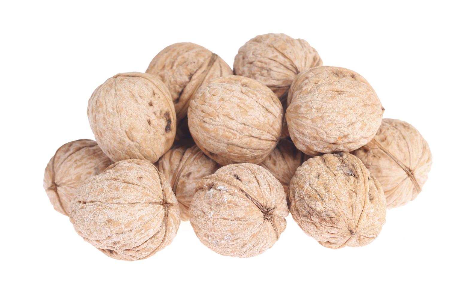 Fresh walnuts