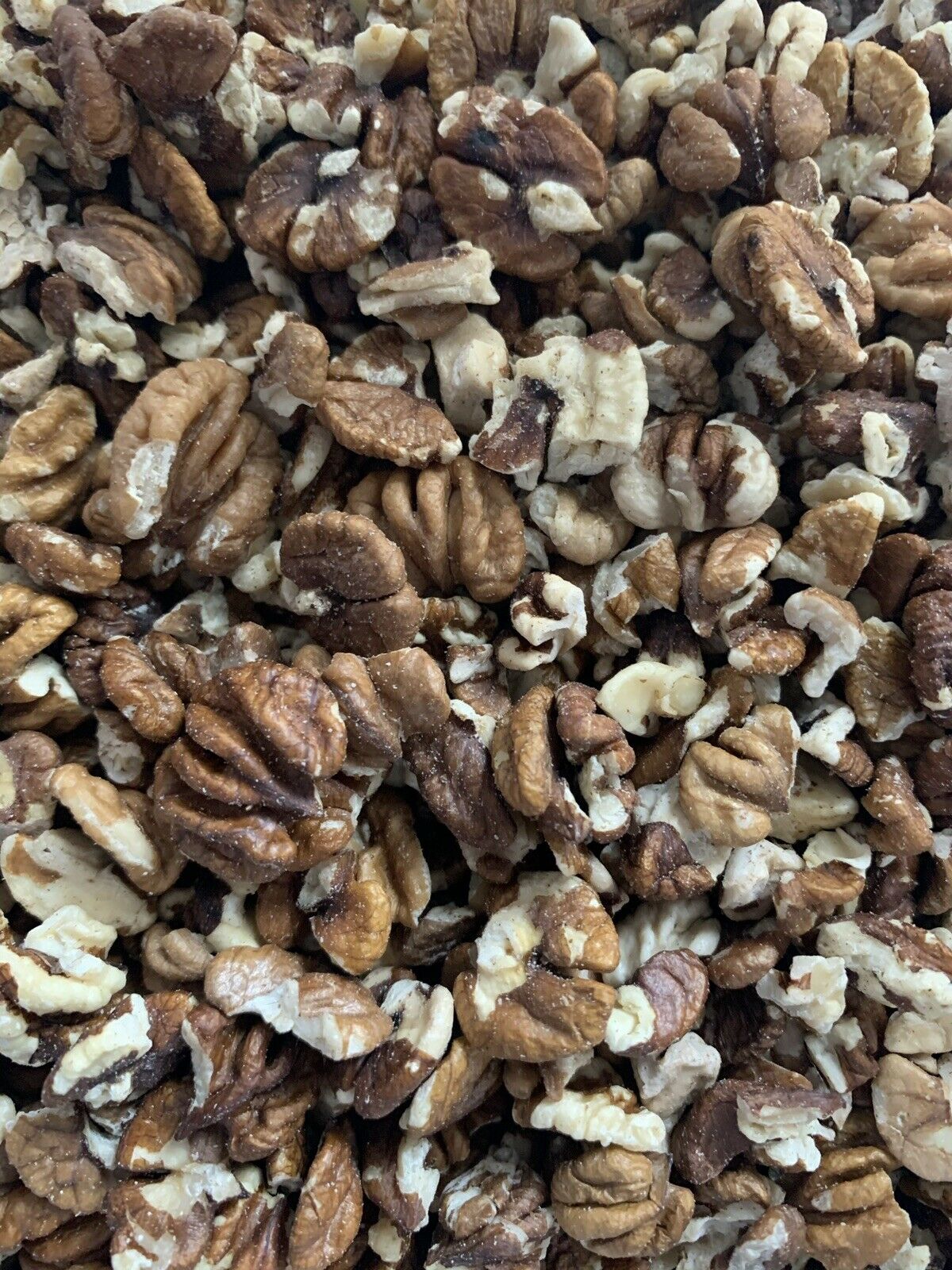 hickory nuts