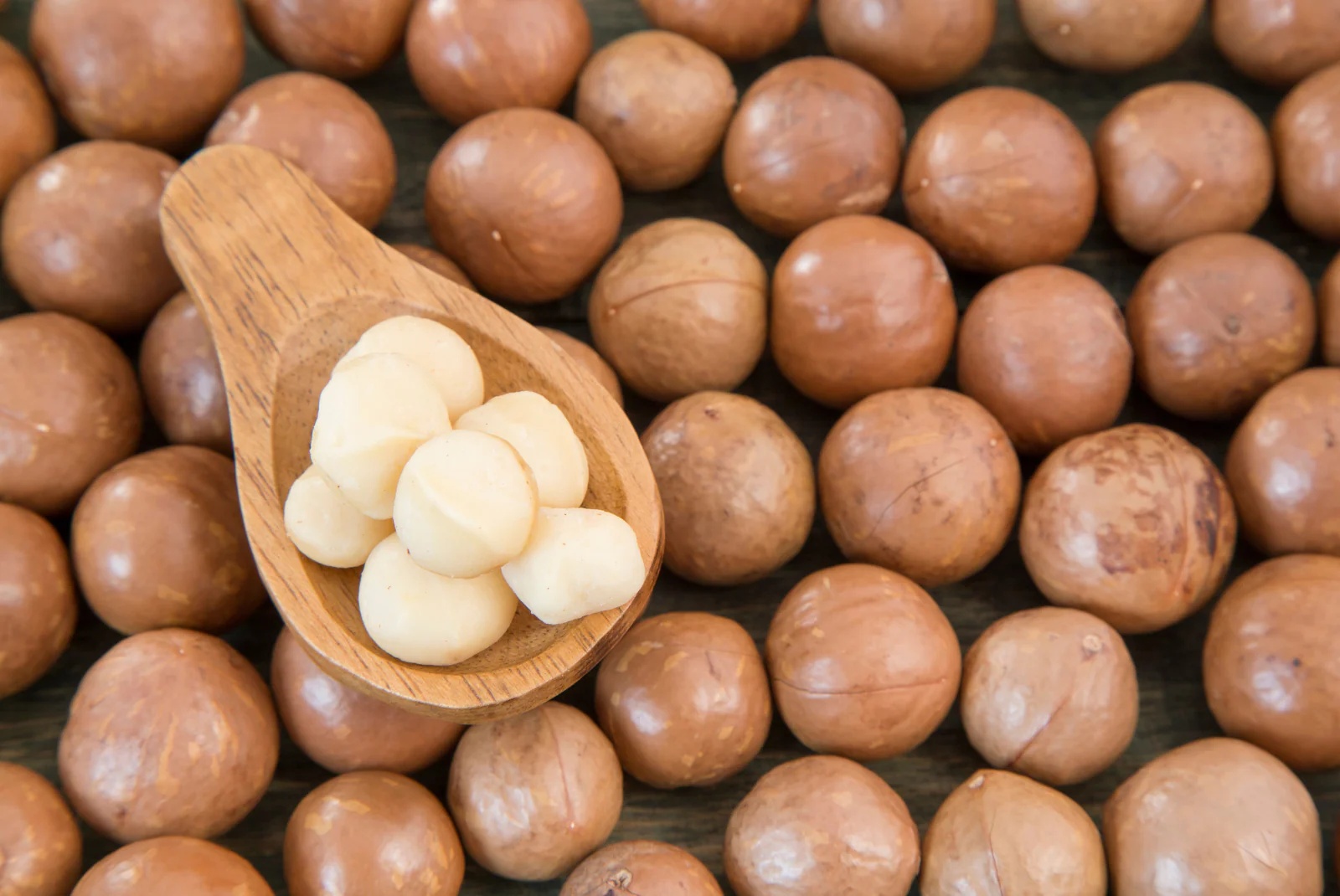 macadamia nuts