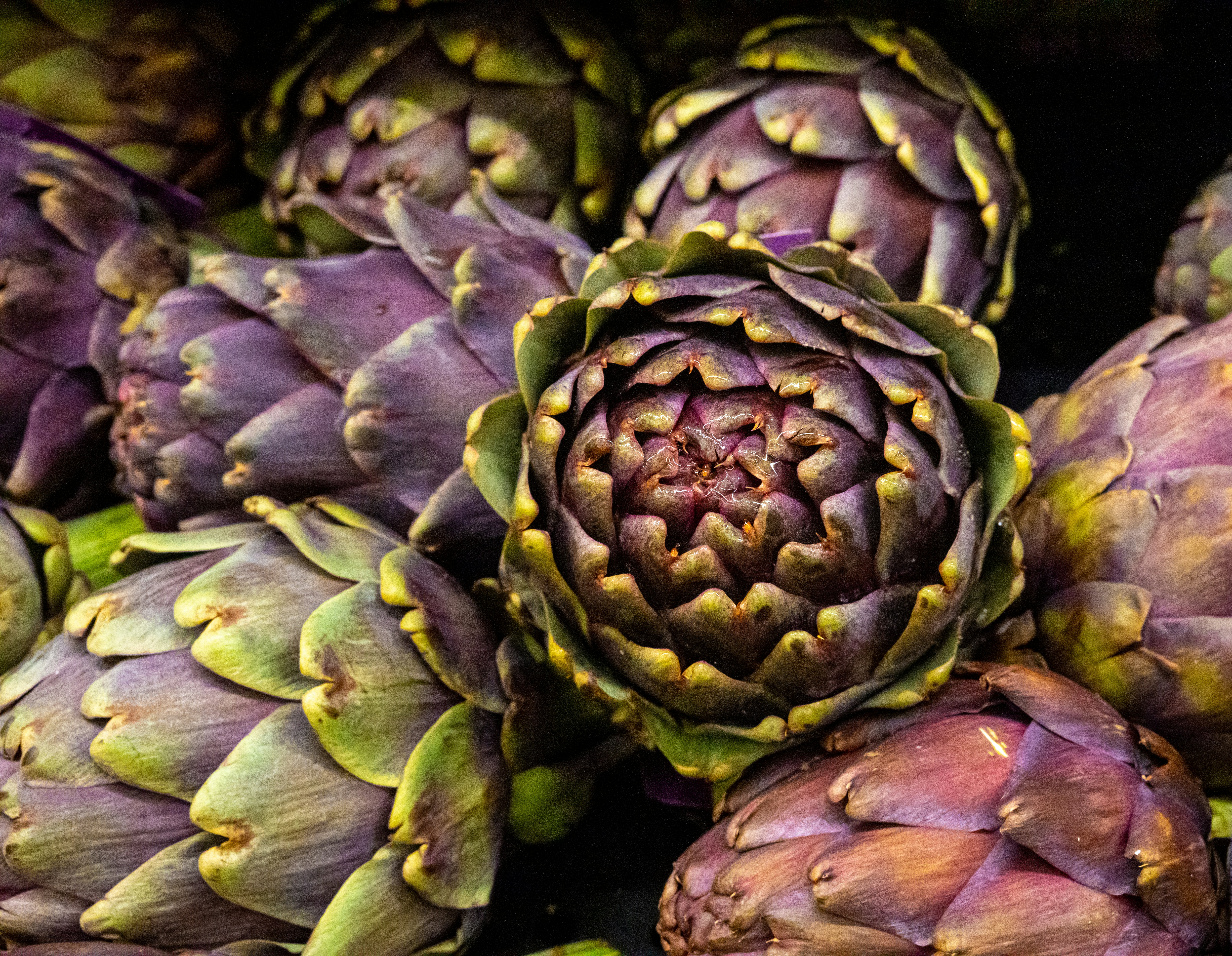 Fresh artichoke