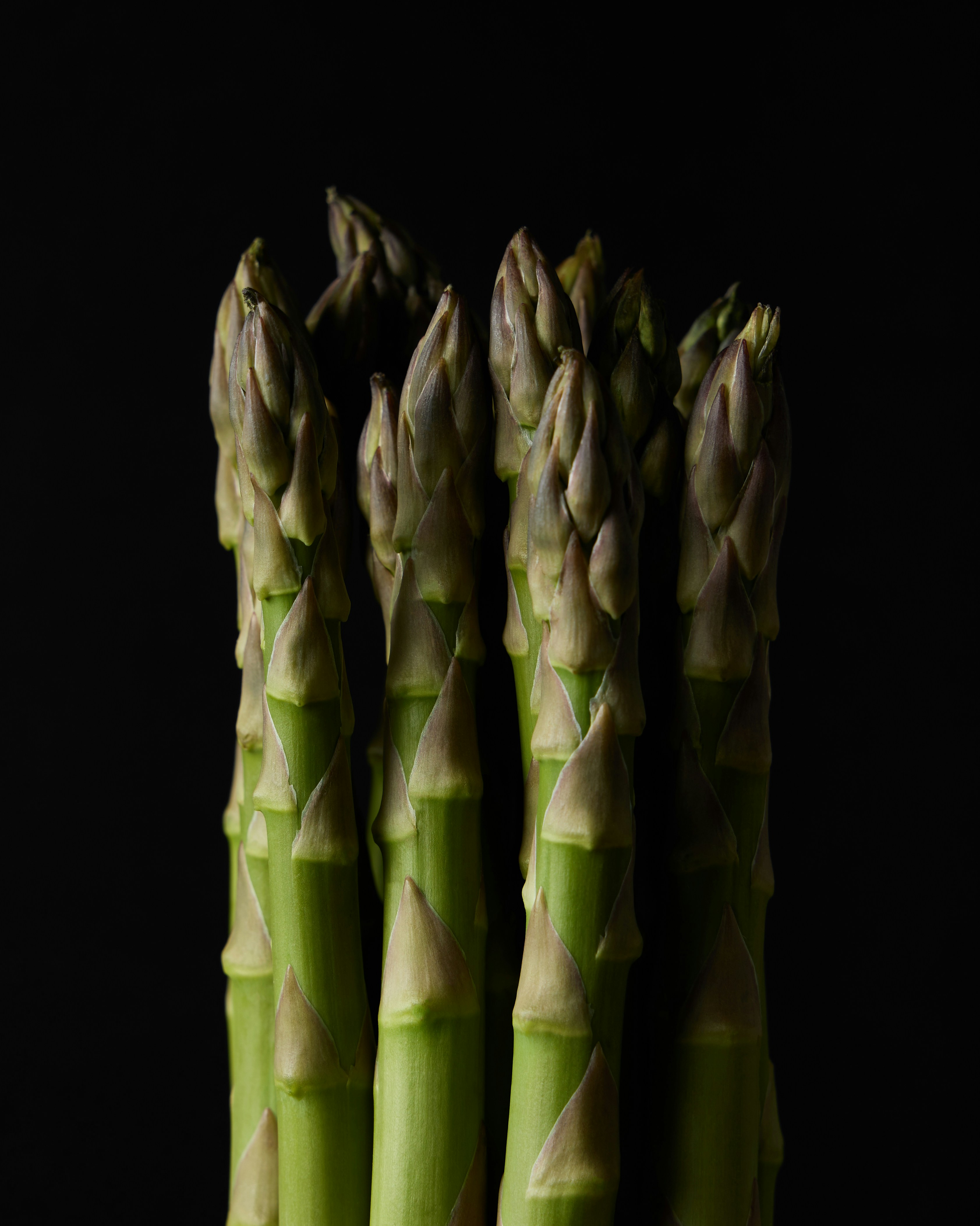 Fresh asparagus