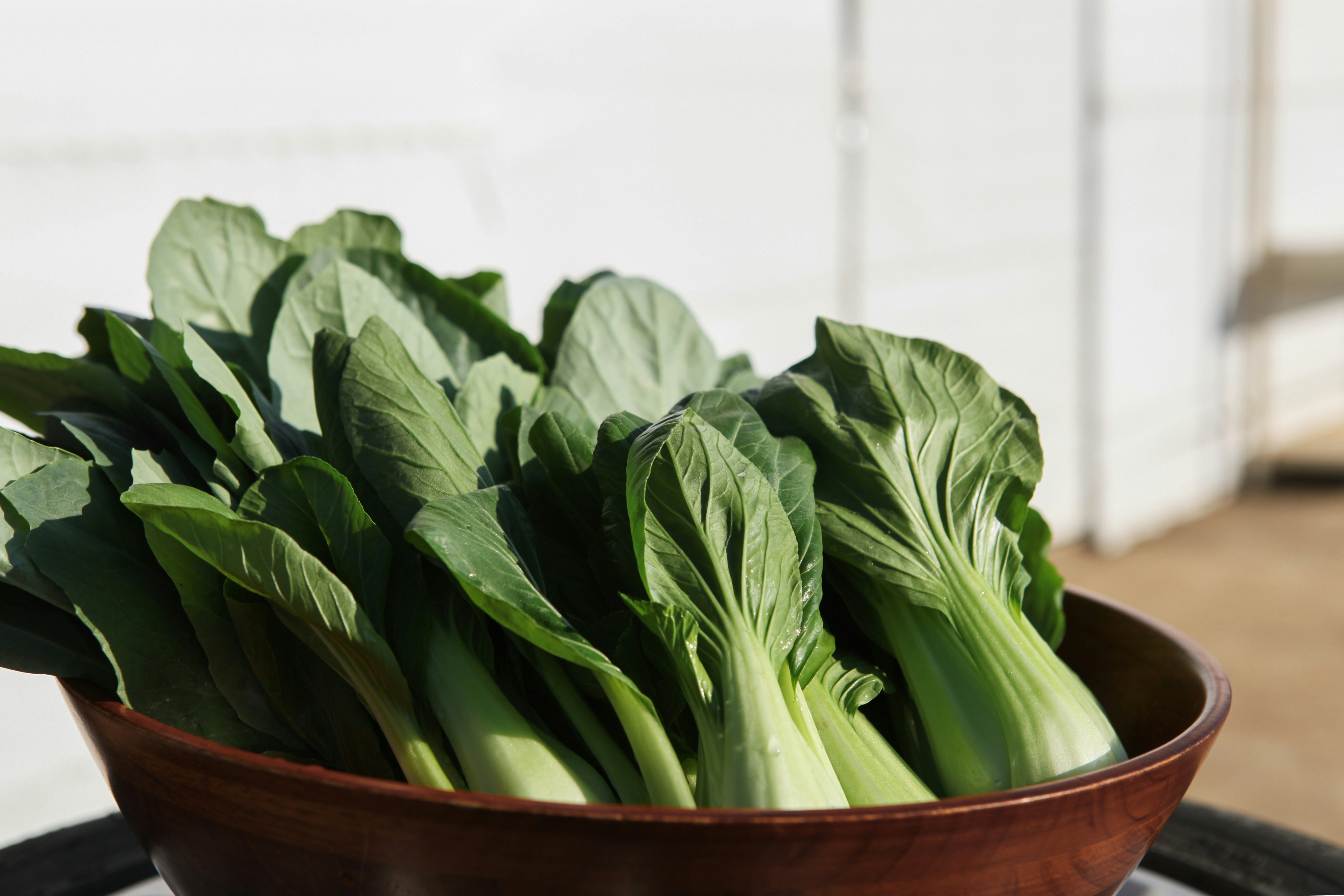 Fresh bok choy