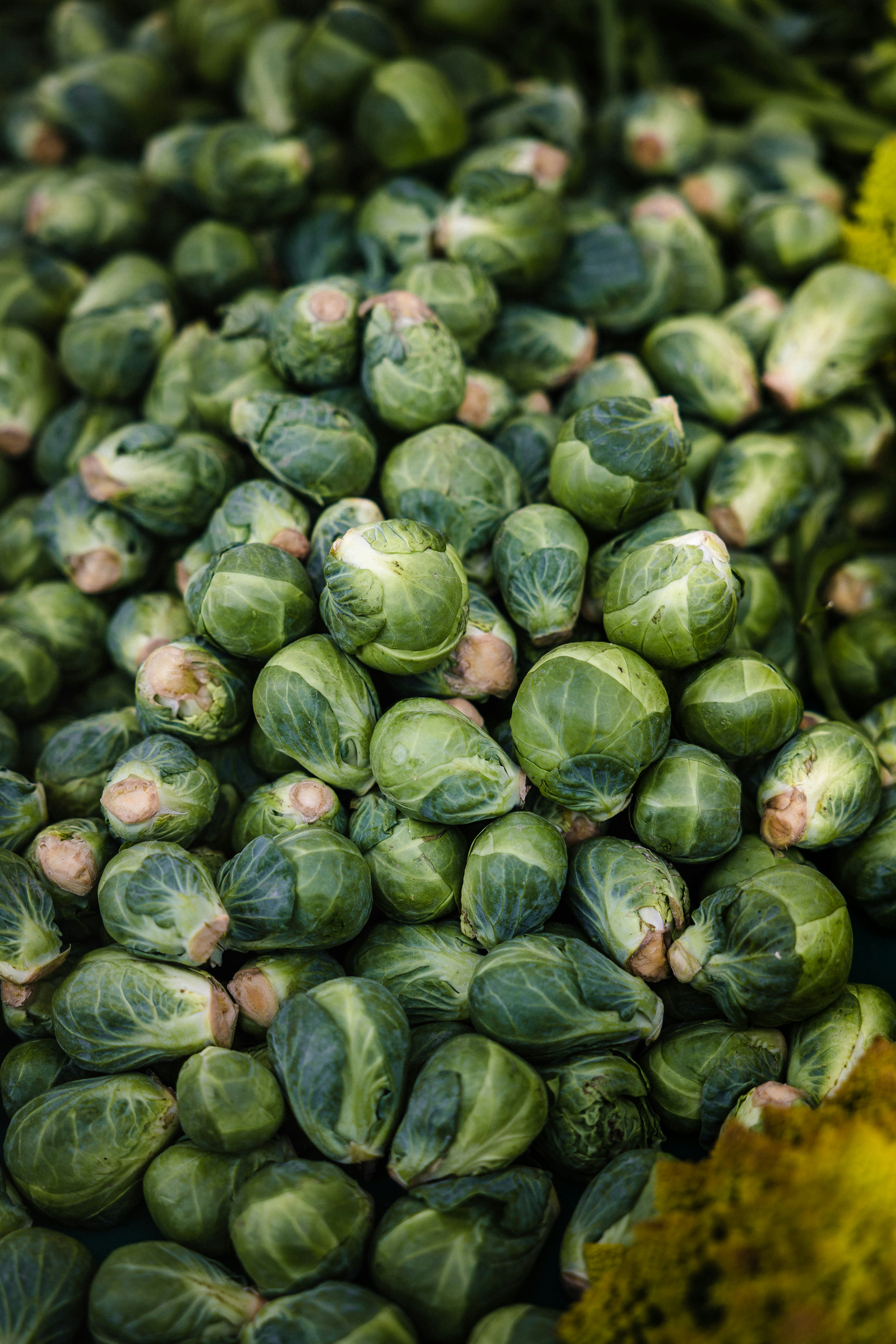 Fresh Brussels sprouts