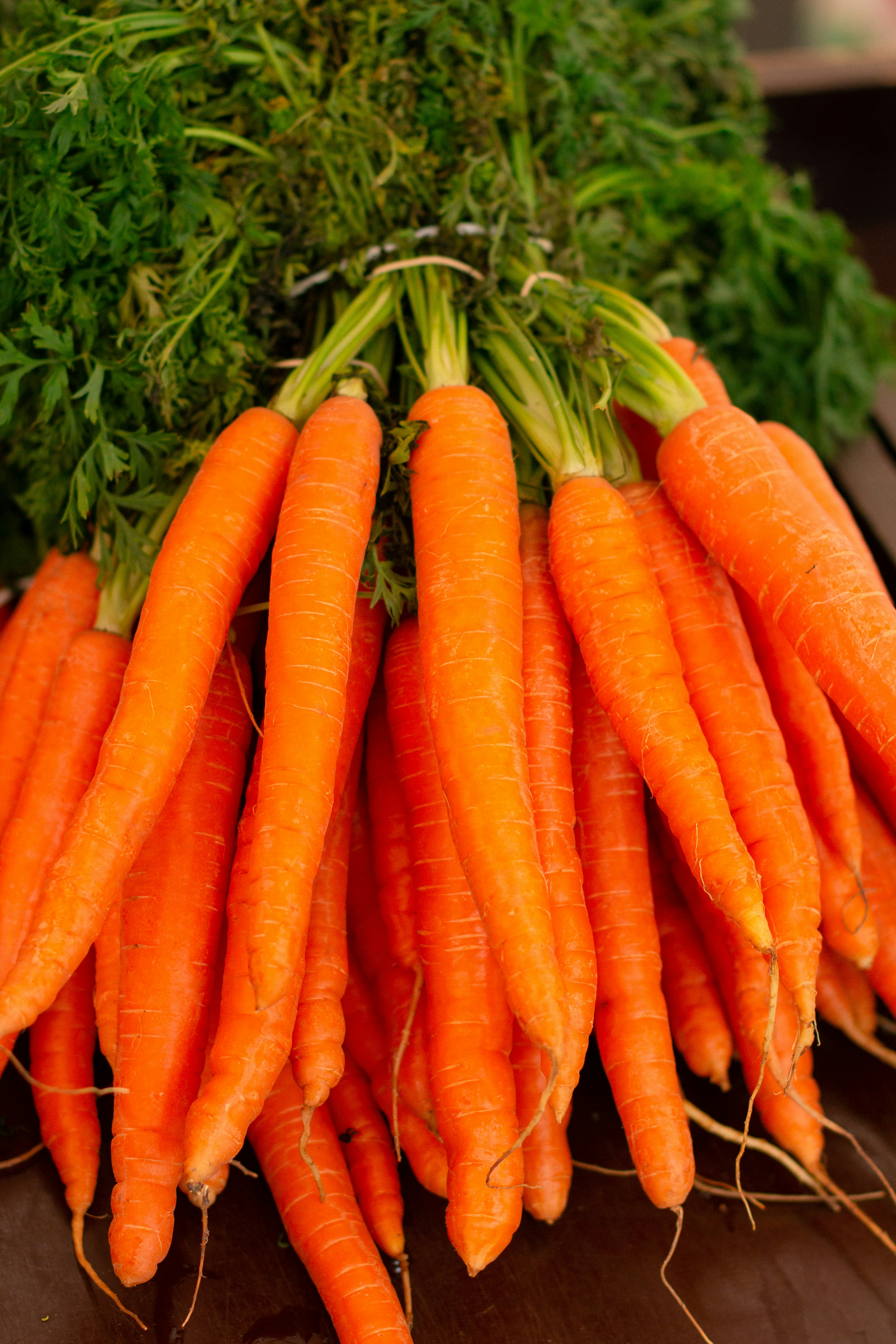 Fresh carrot