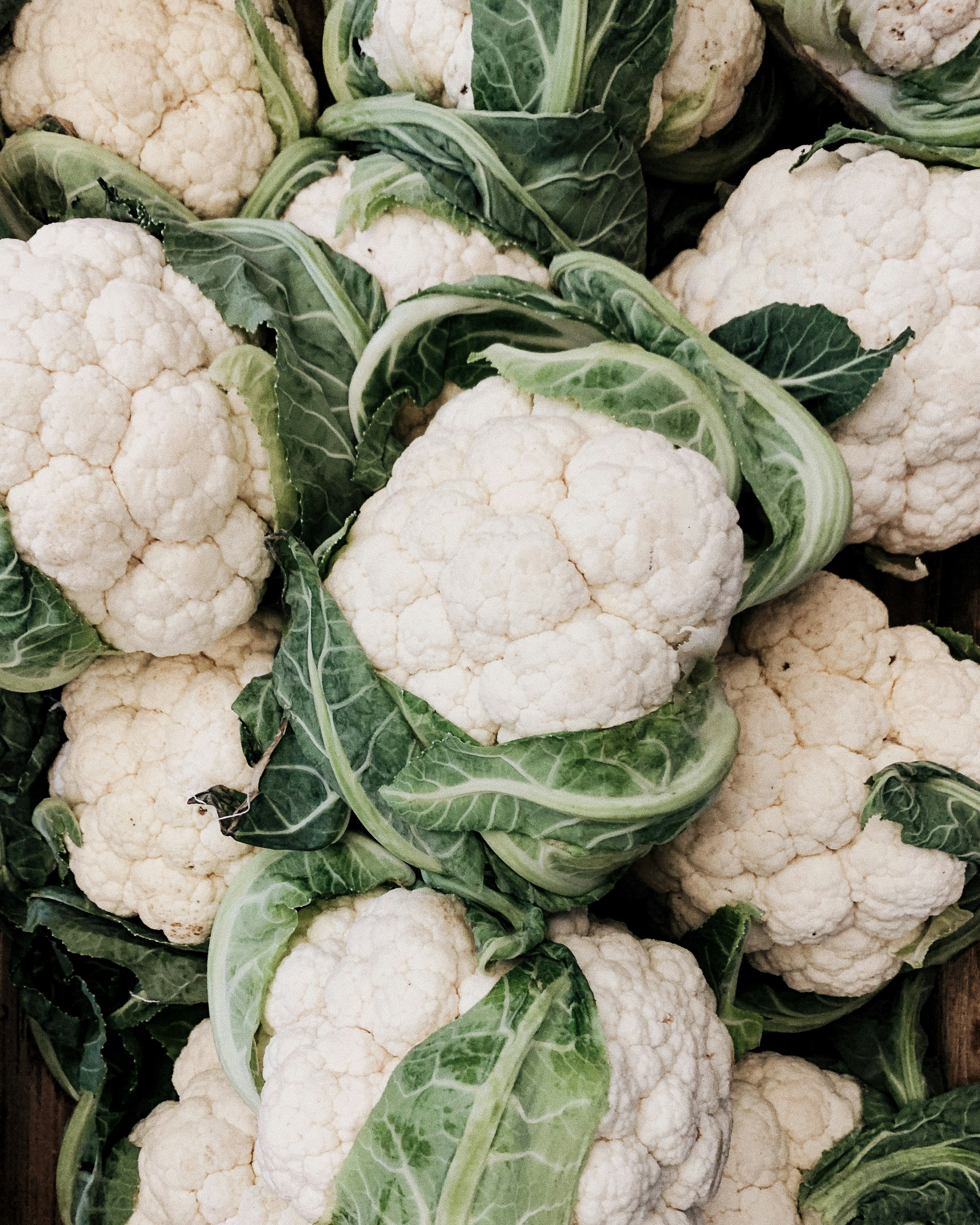 Fresh cauliflower