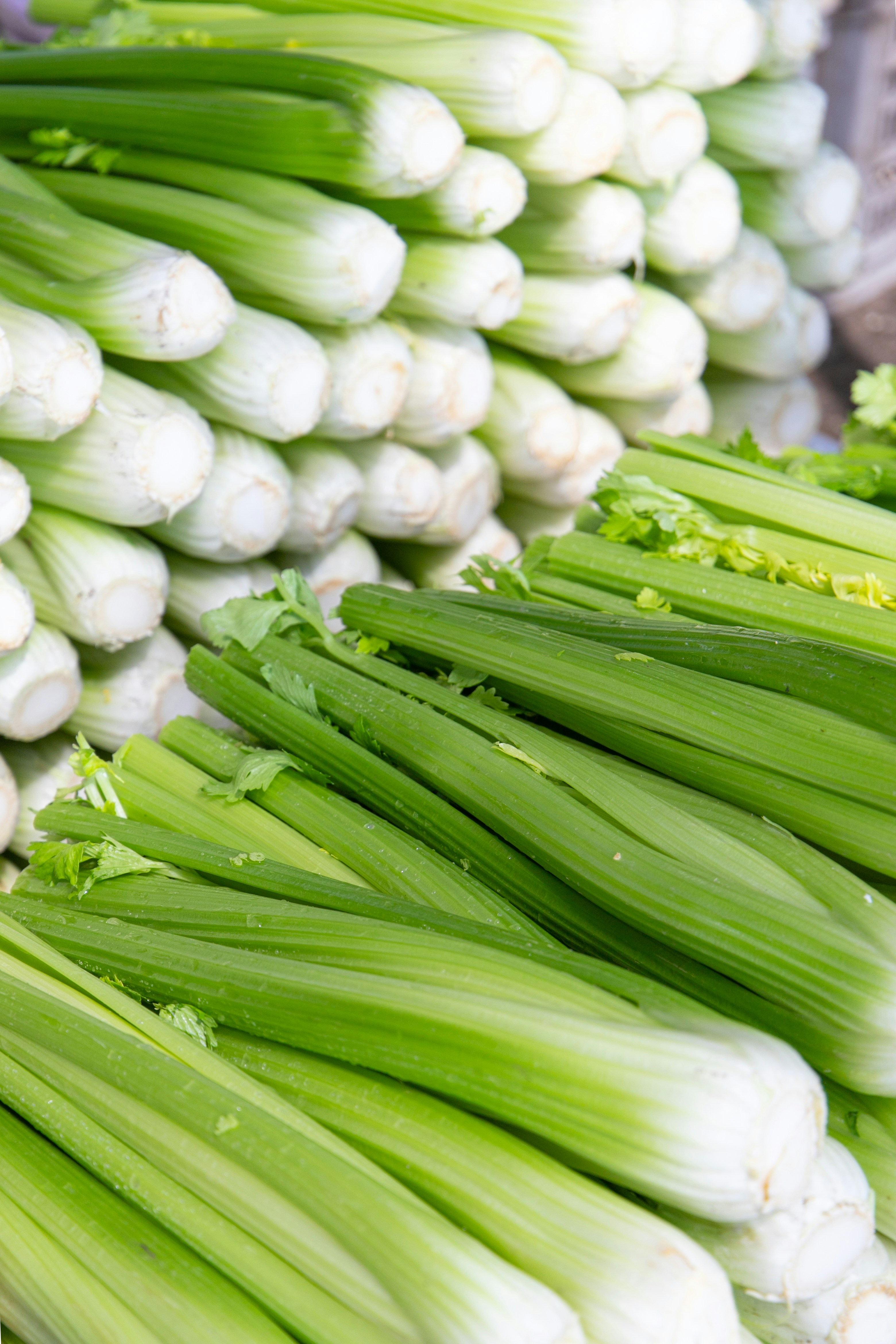 Fresh celery