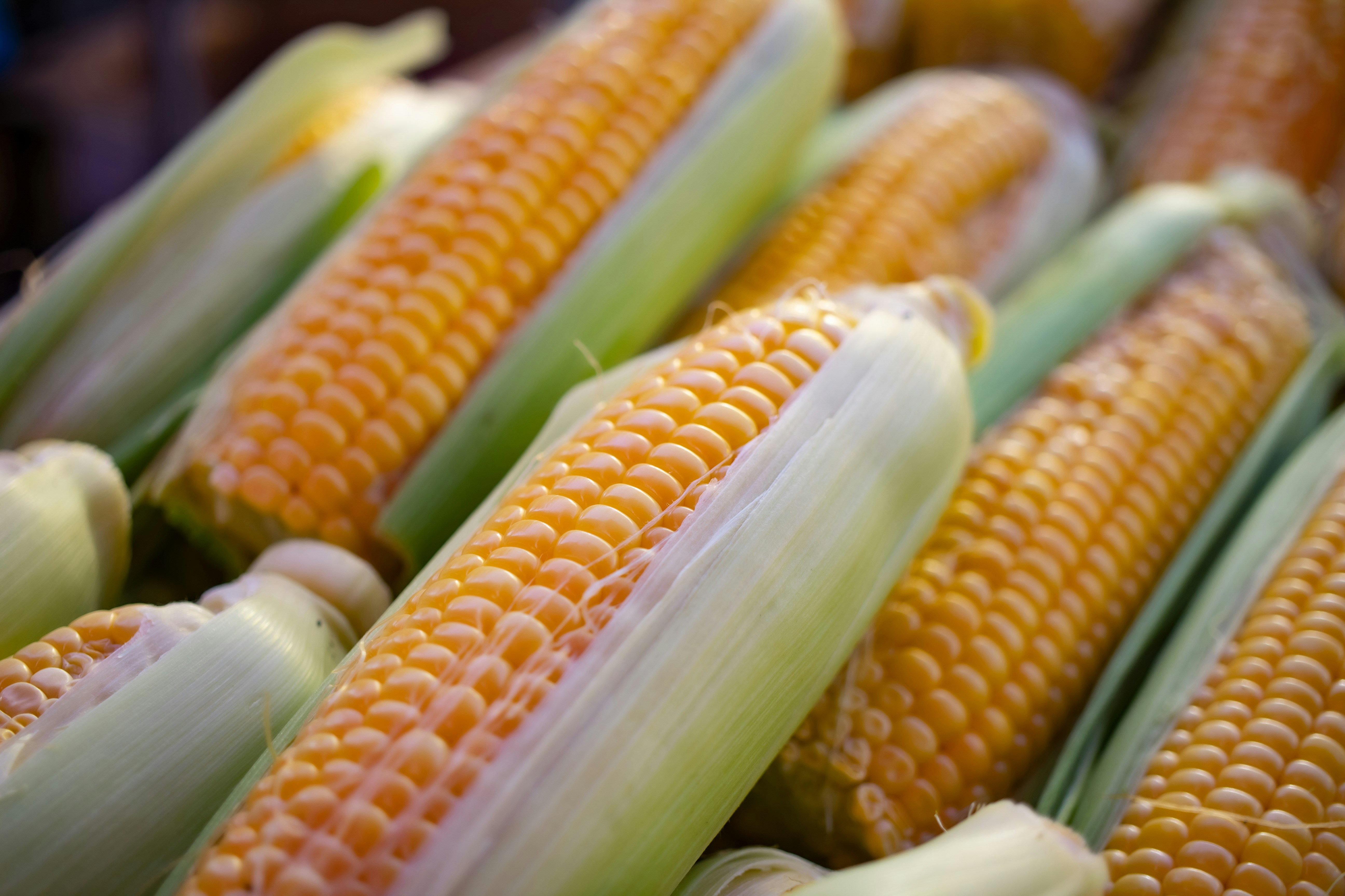Fresh corn