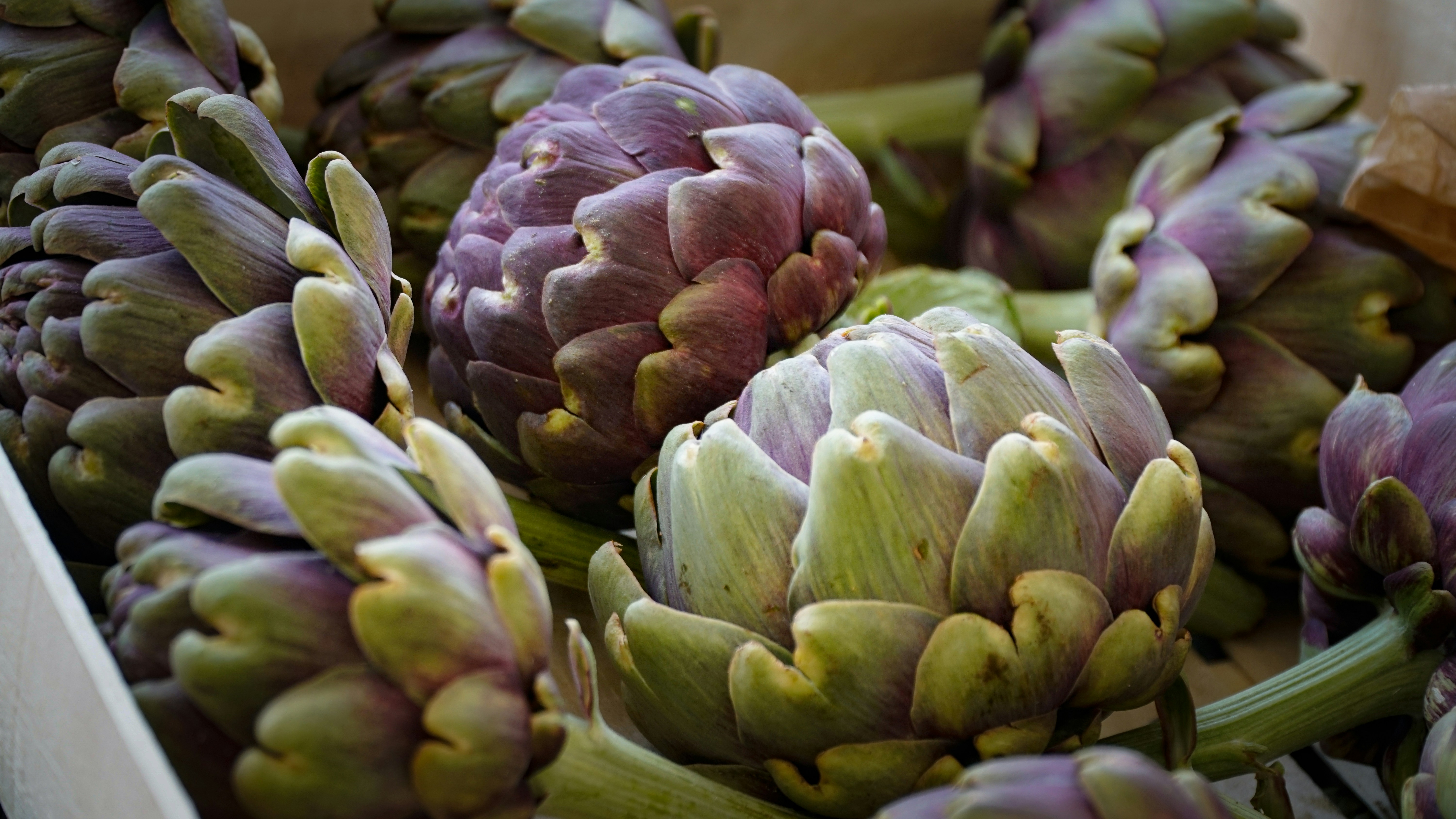 Fresh artichoke