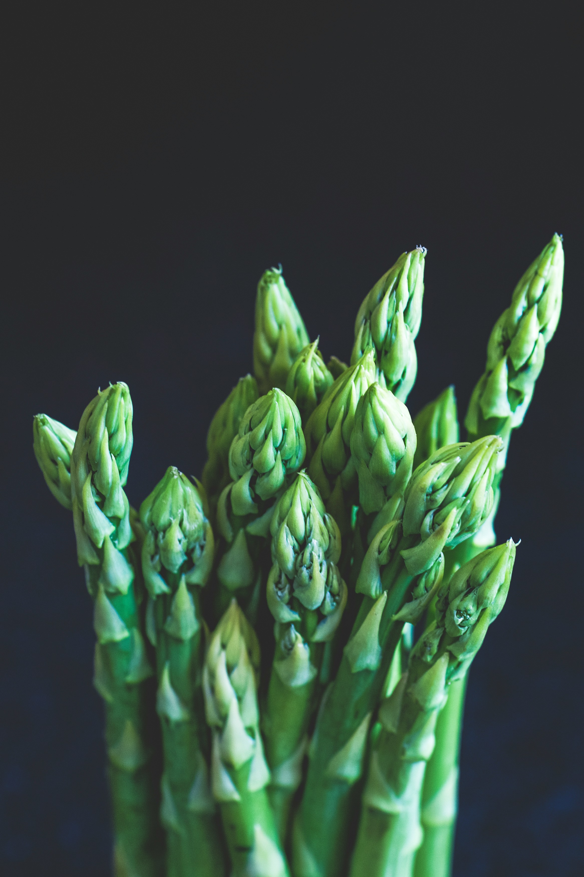Fresh asparagus