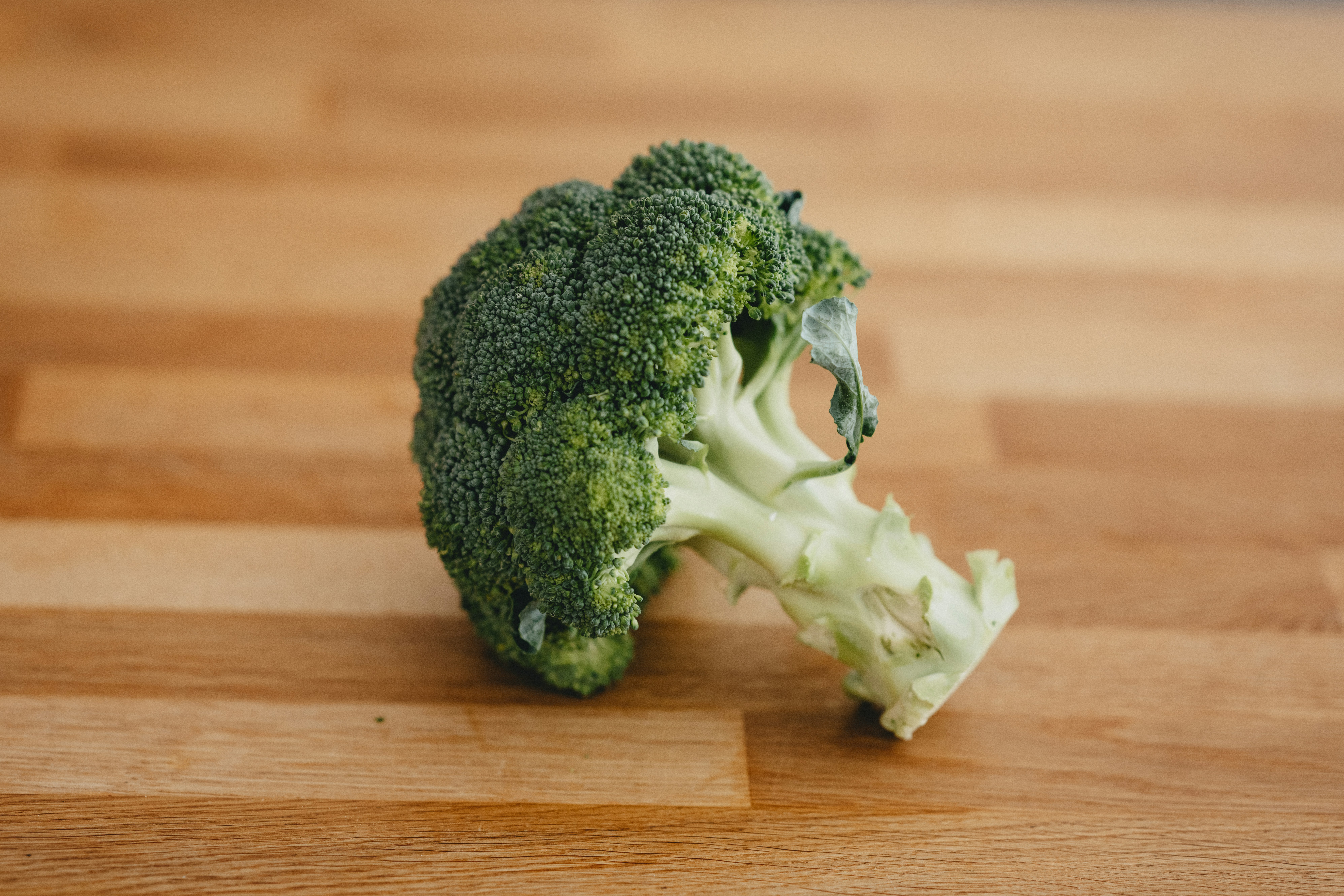 Fresh broccoli vegetable