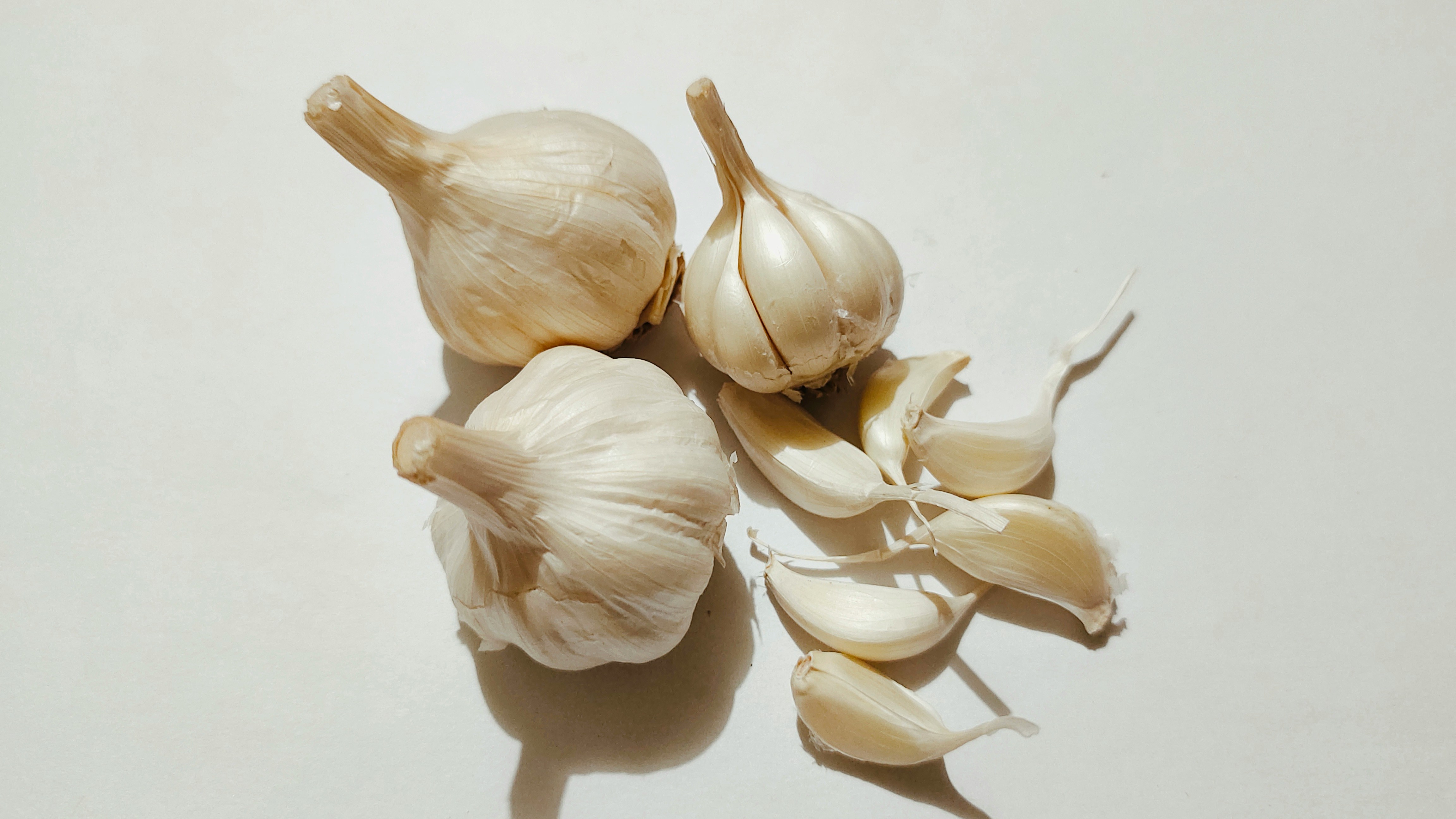 Fresh garlic vegetable