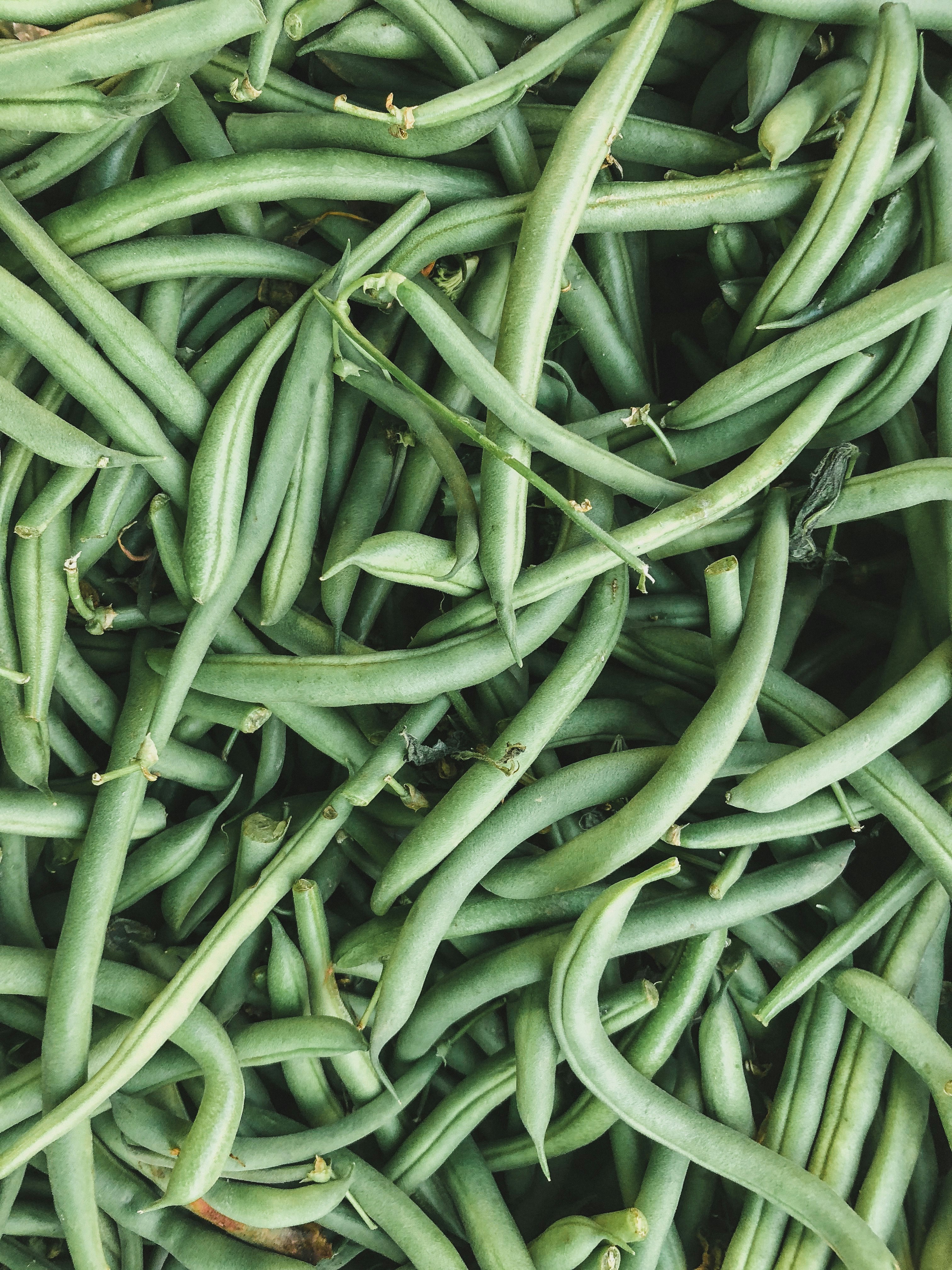Fresh green beans