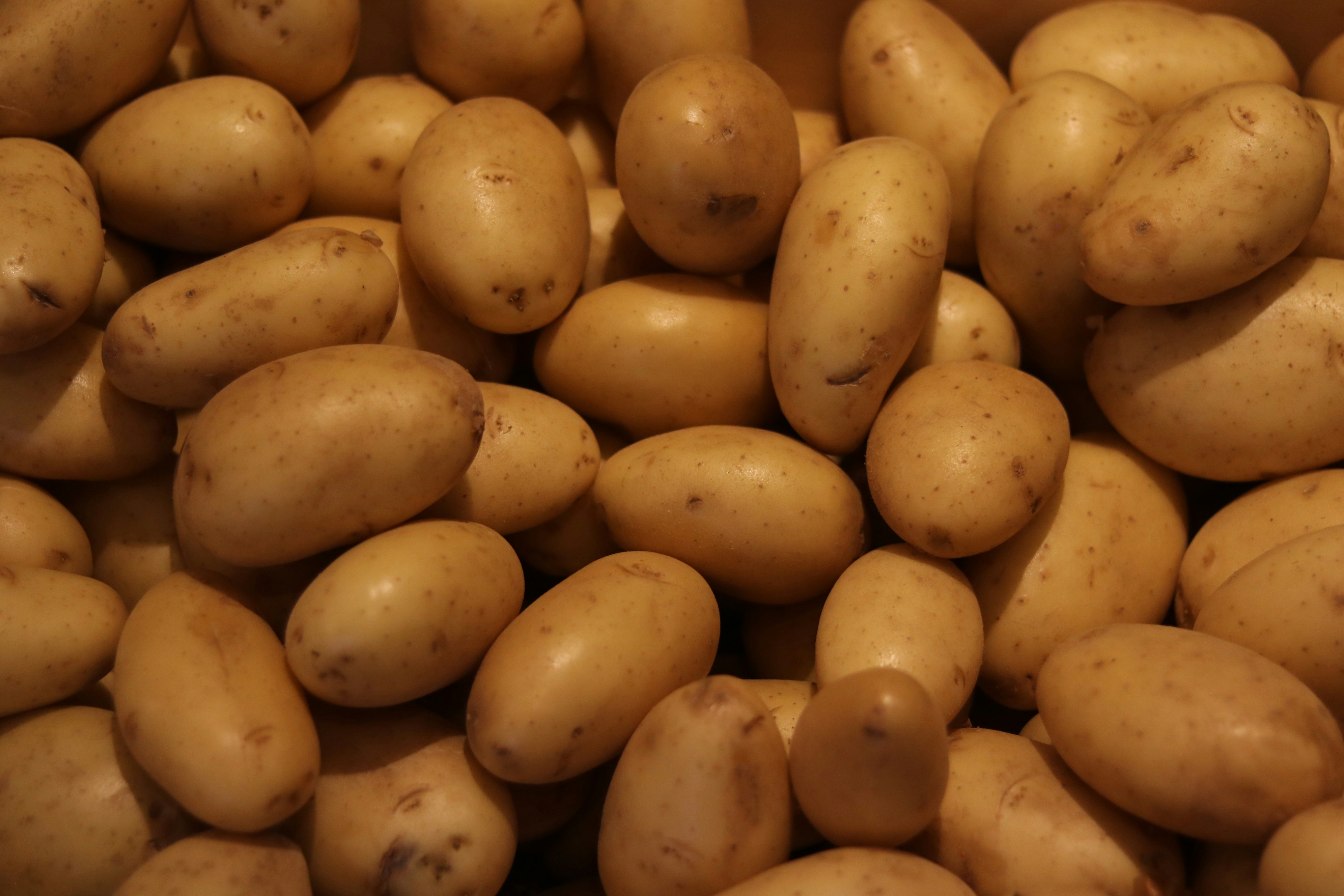 Fresh potato vegetable