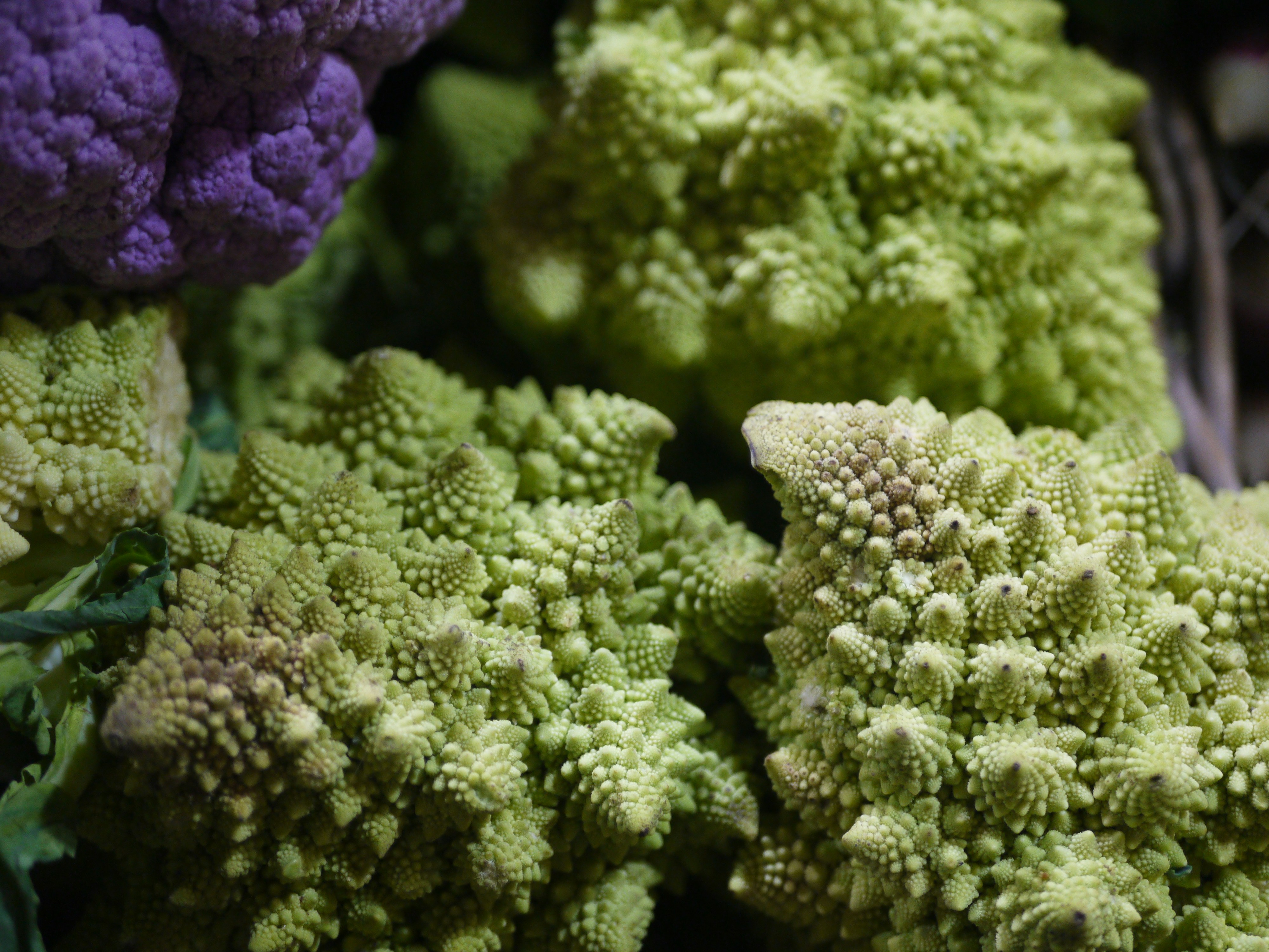 Fresh romanesco broccoli