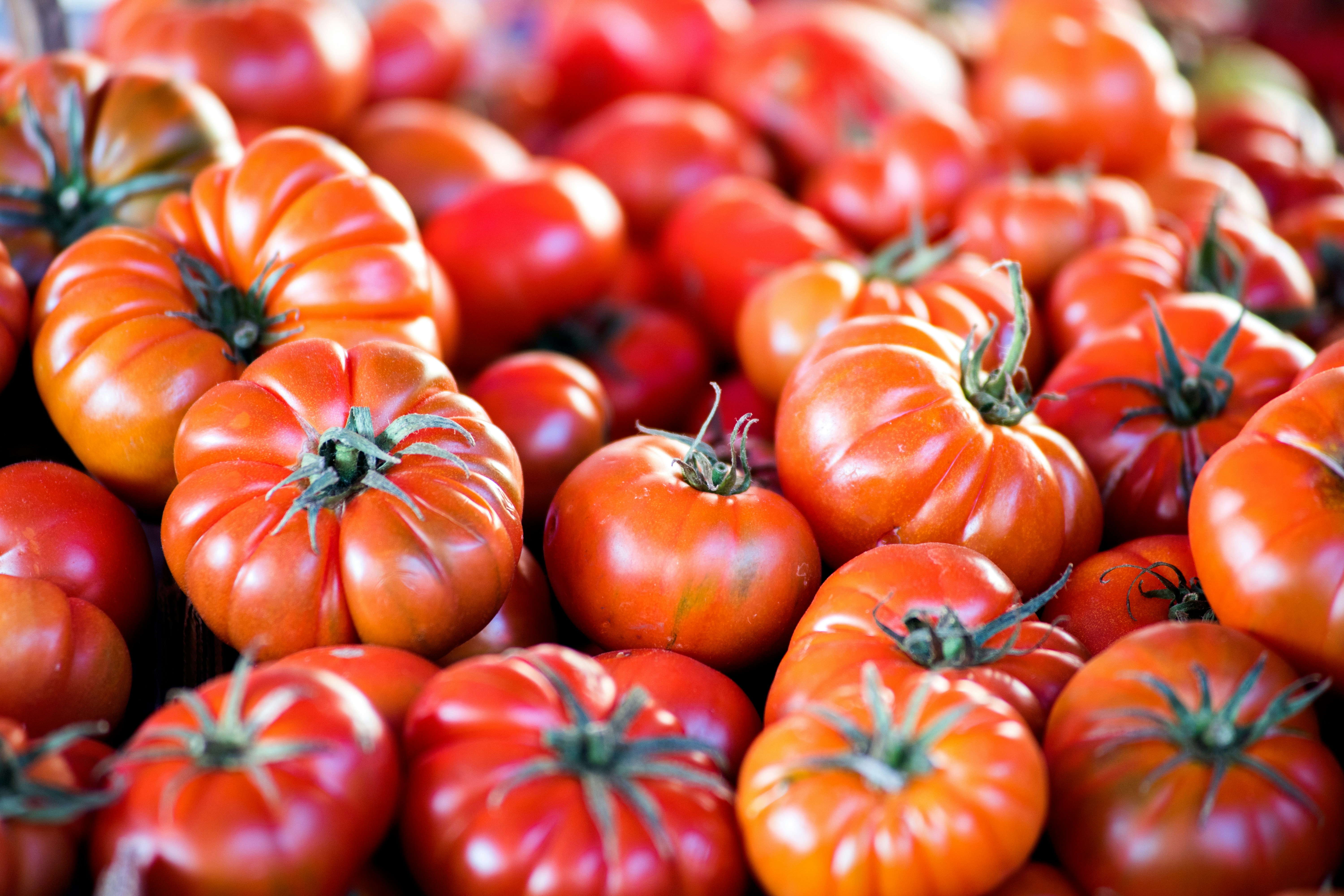 Fresh tomato vegetable