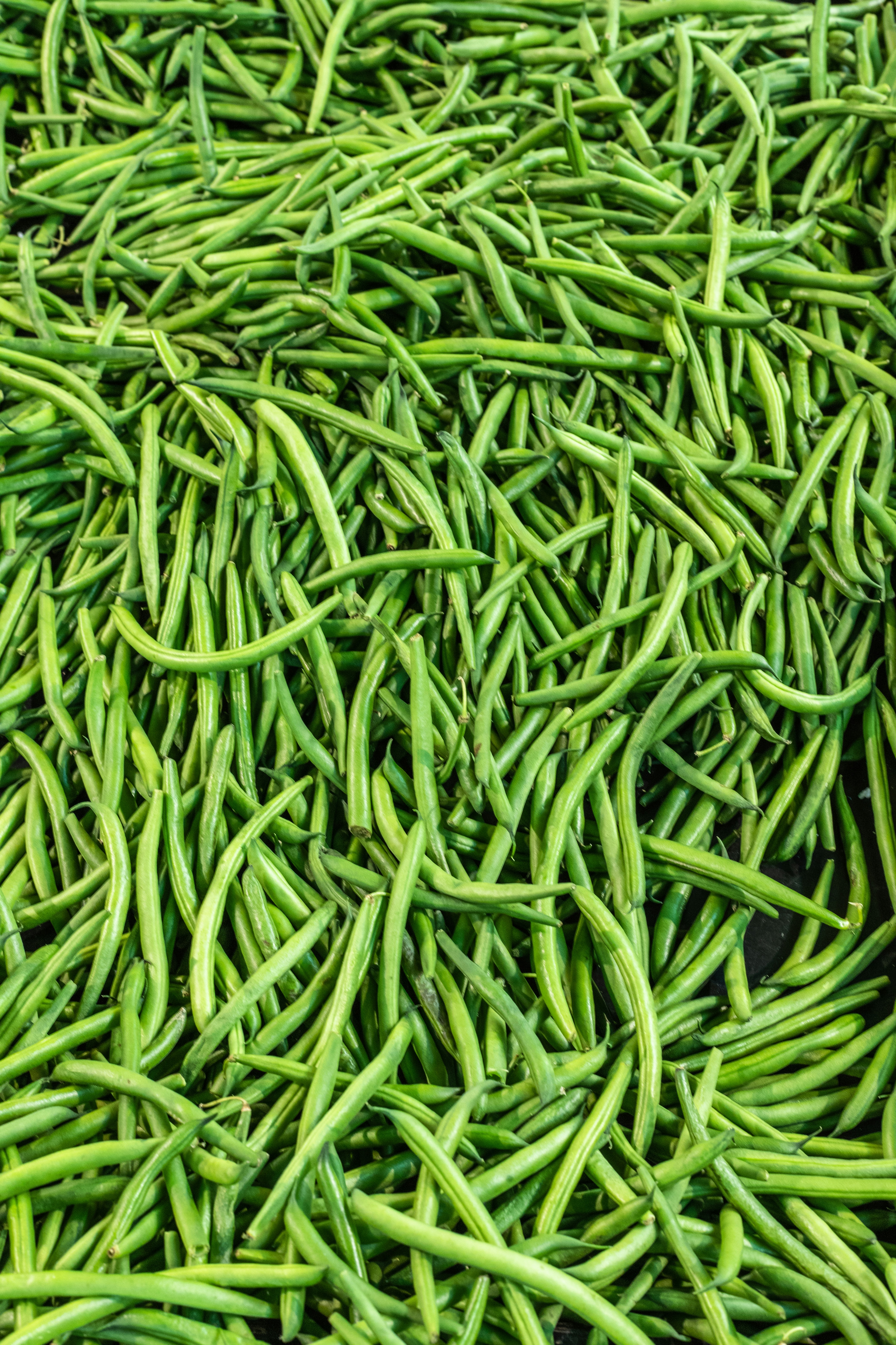 Fresh green beans