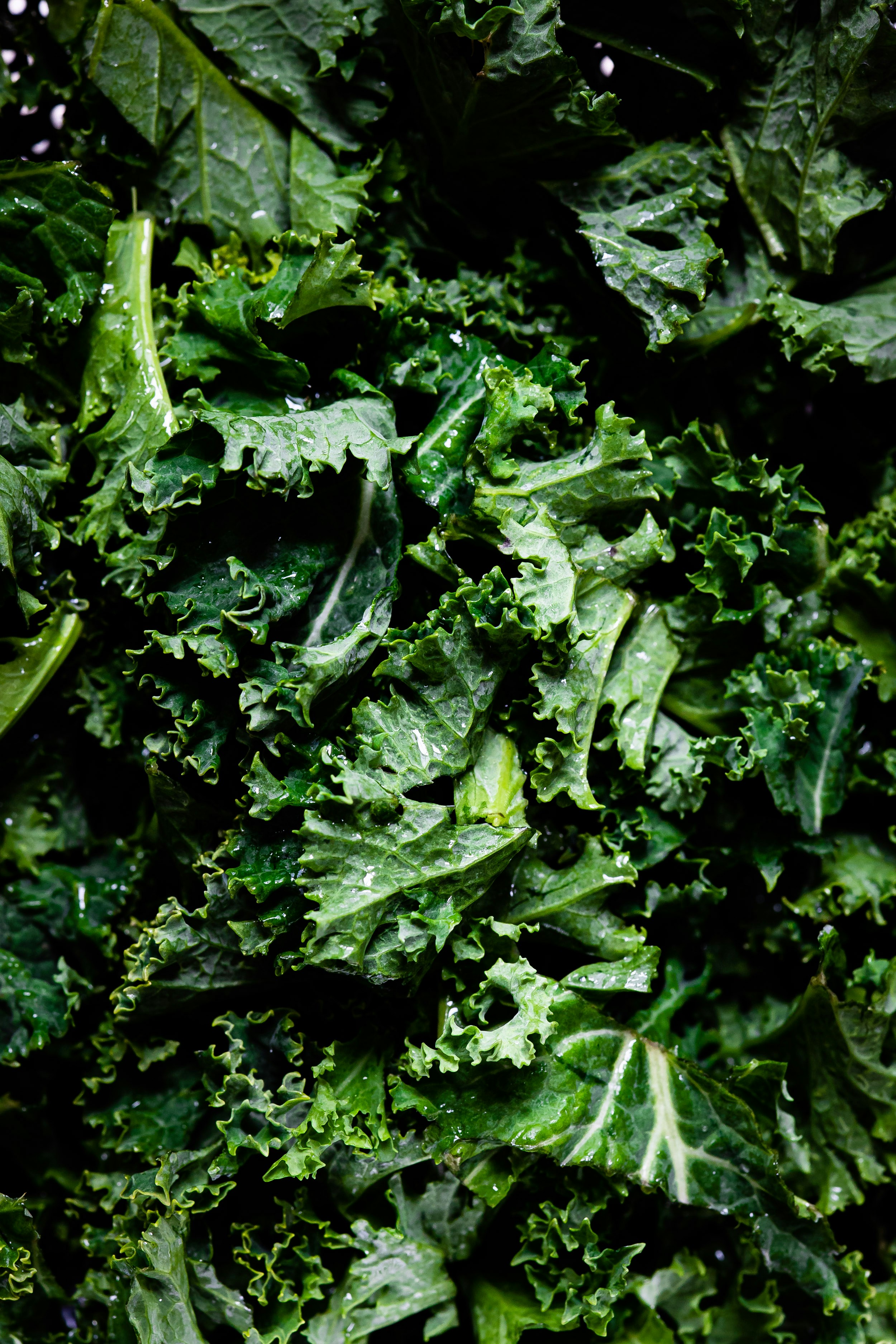 Fresh kale